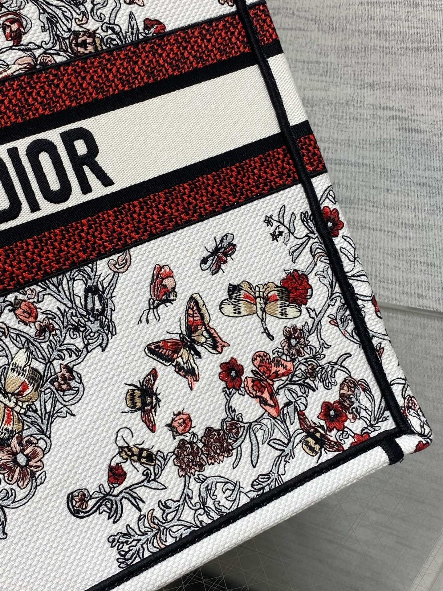 BAG-DIOR-W-LY-913