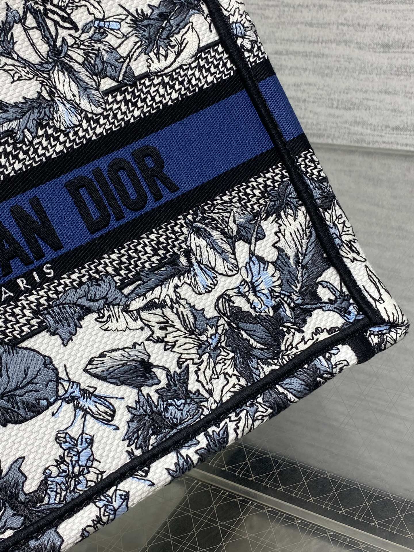 BAG-DIOR-W-LY-885