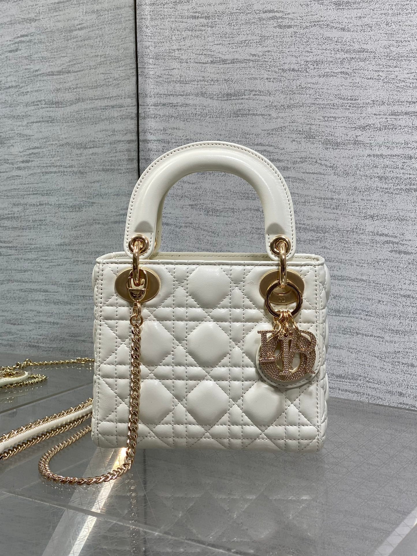 BAG-DIOR-W-LY-742