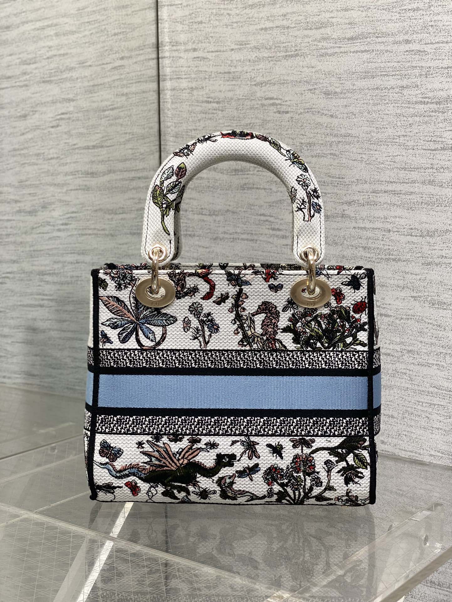 BAG-DIOR-W-LY-074
