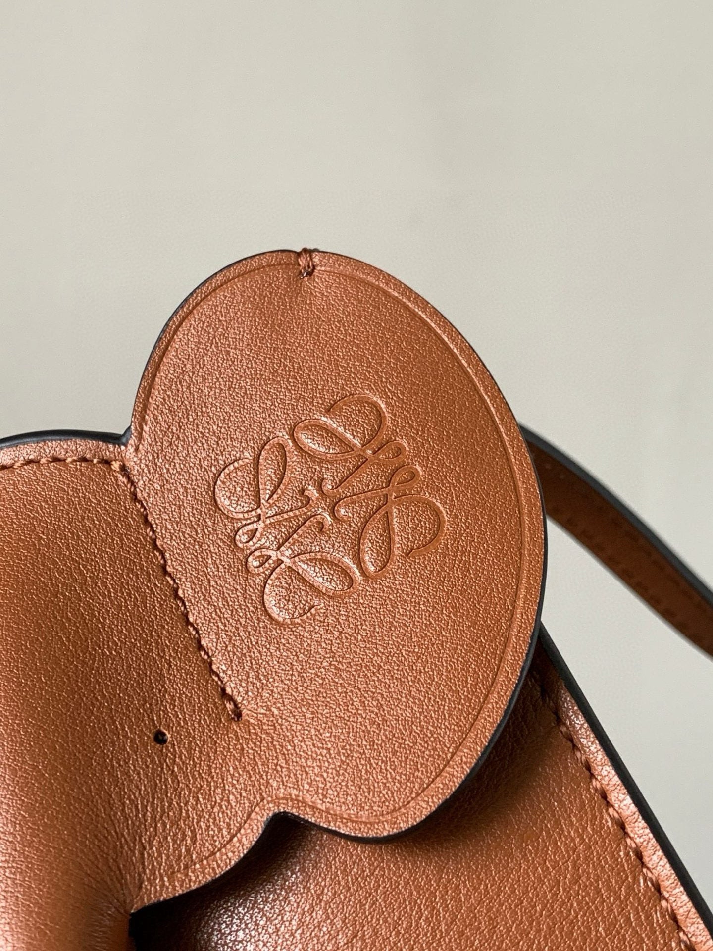 BAG-LW-763