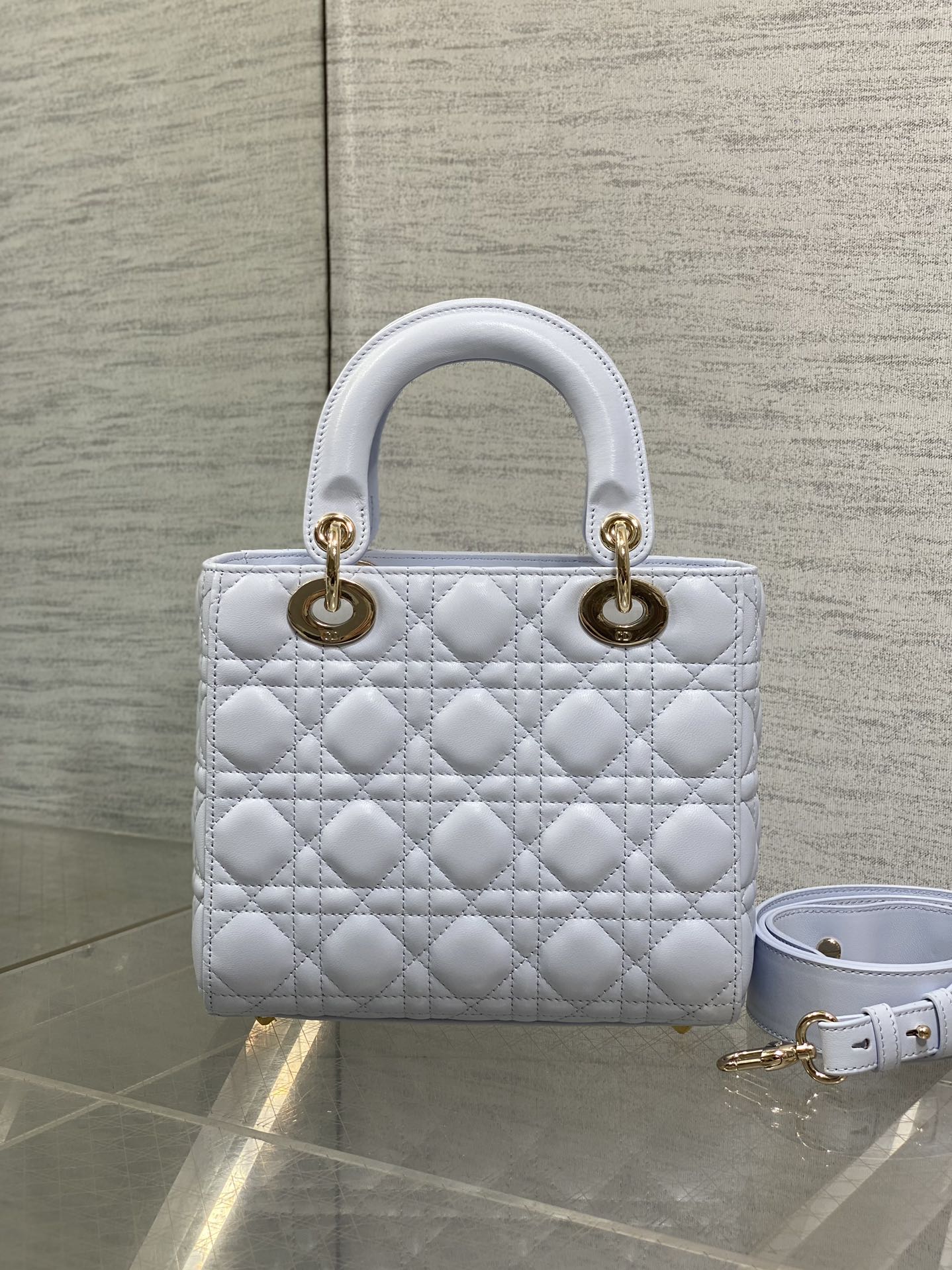 BAG-DIOR-W-LY-700