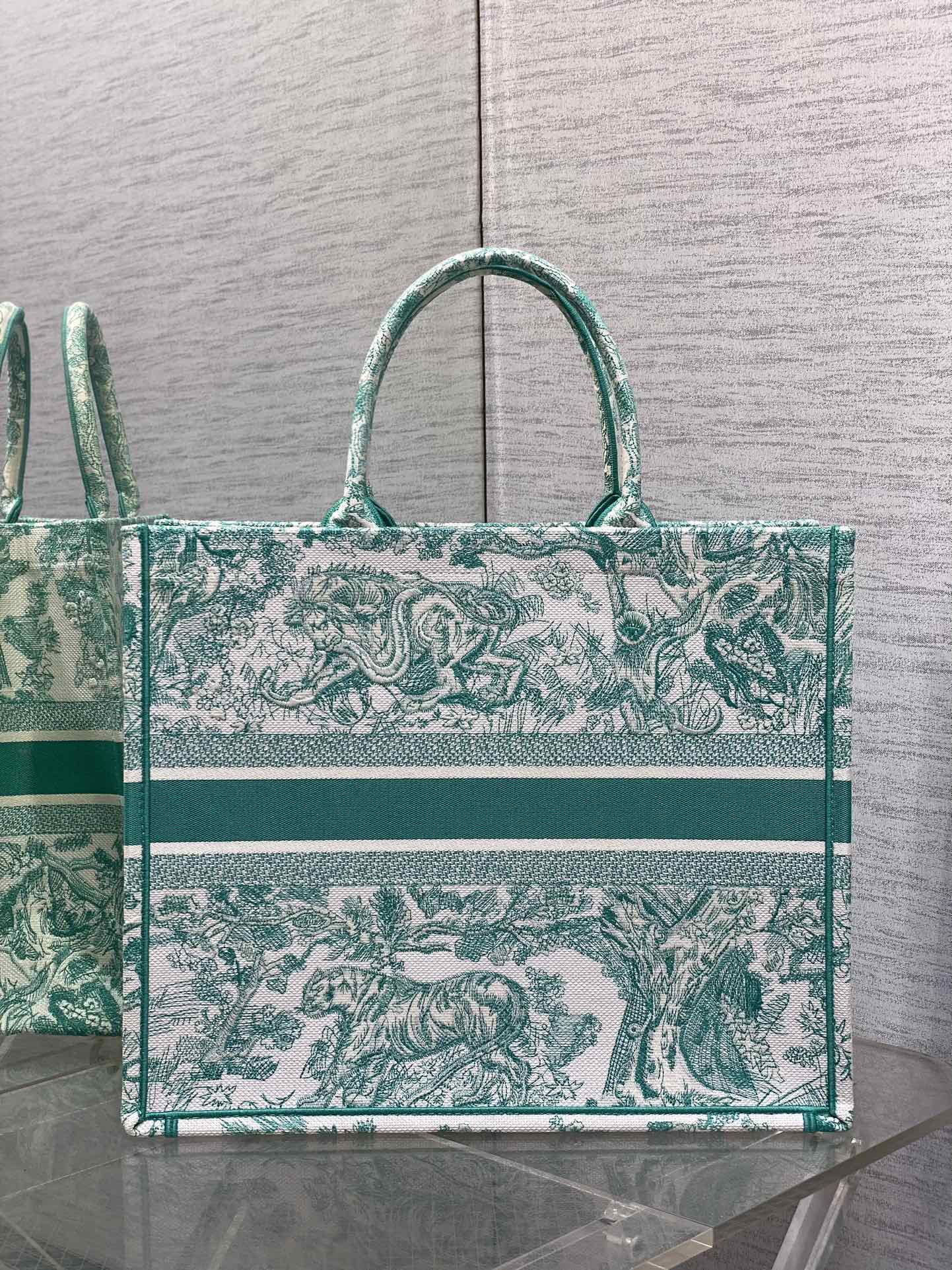 BAG-DIOR-W-LY-807