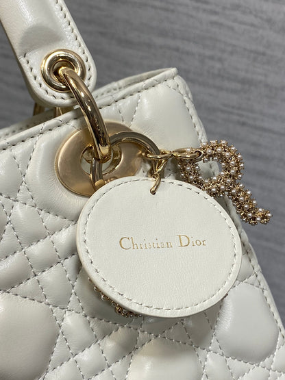 BAG-DIOR-W-LY-698