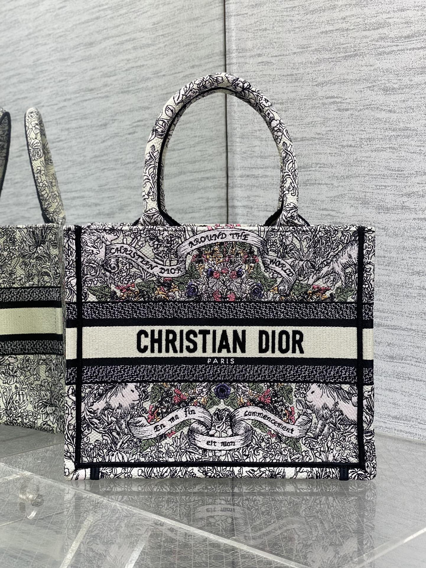 BAG-DIOR-W-LY-822