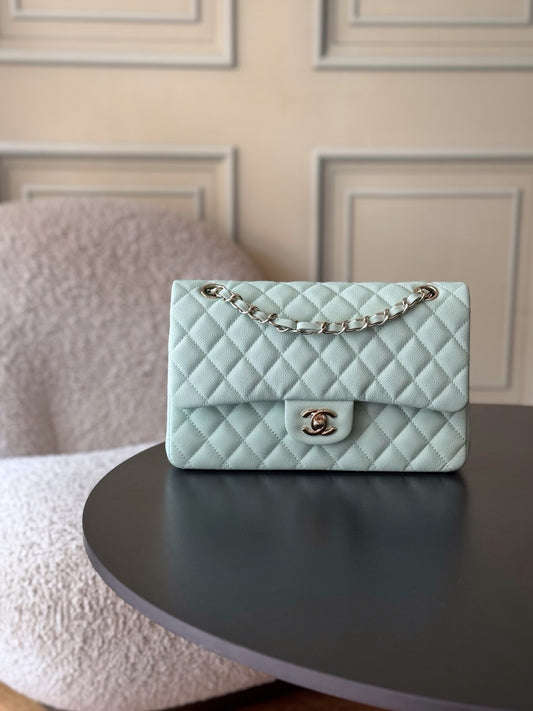 BAG-CHANEL-121