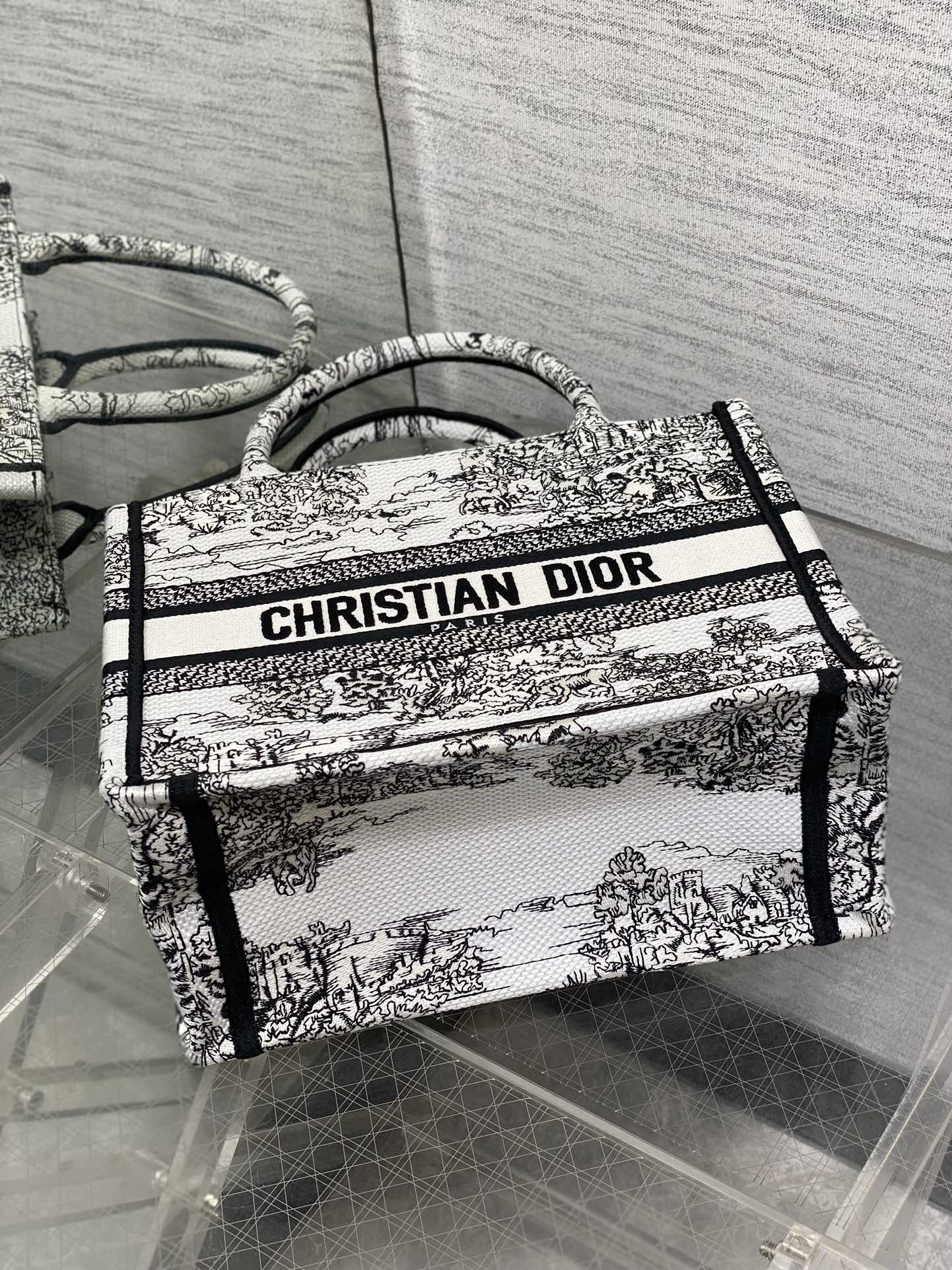 BAG-DIOR-W-LY-862