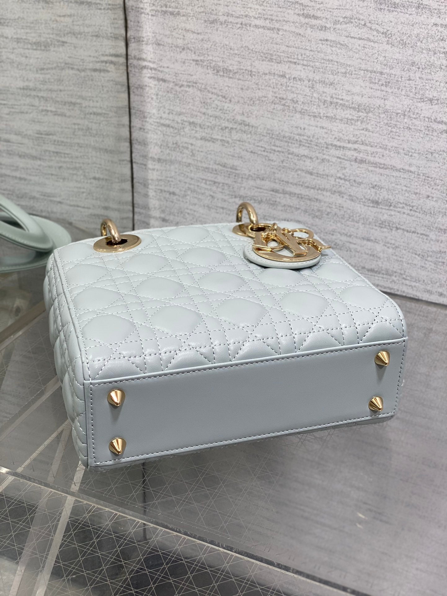 BAG-DIOR-W-LY-761