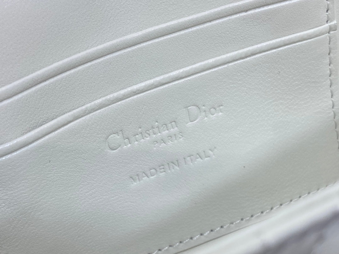 BAG-DIOR-W-LY-042