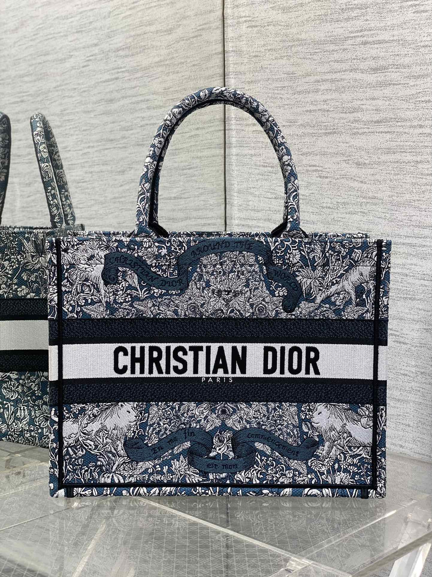 BAG-DIOR-W-LY-825