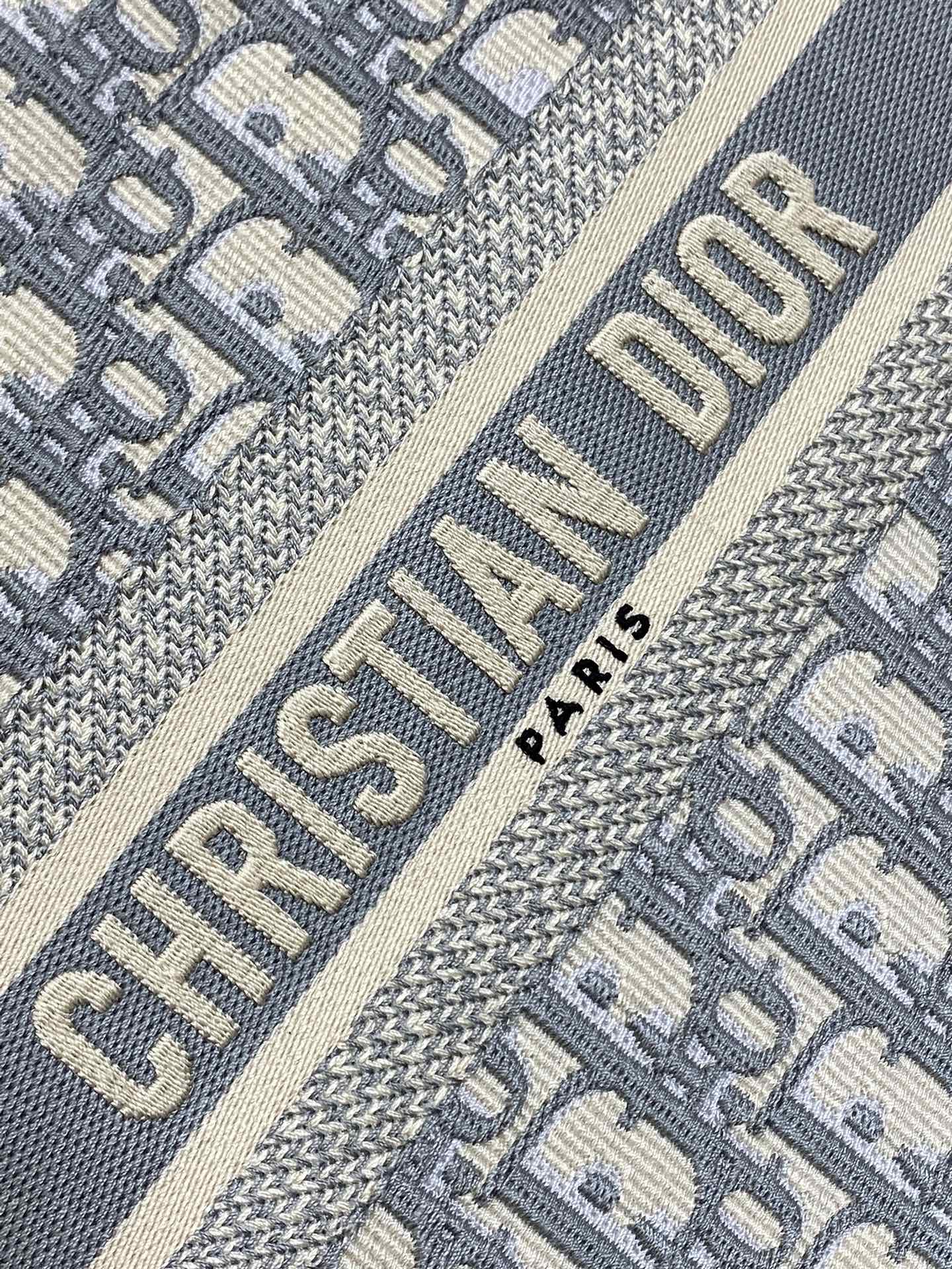 BAG-DIOR-W-LY-193