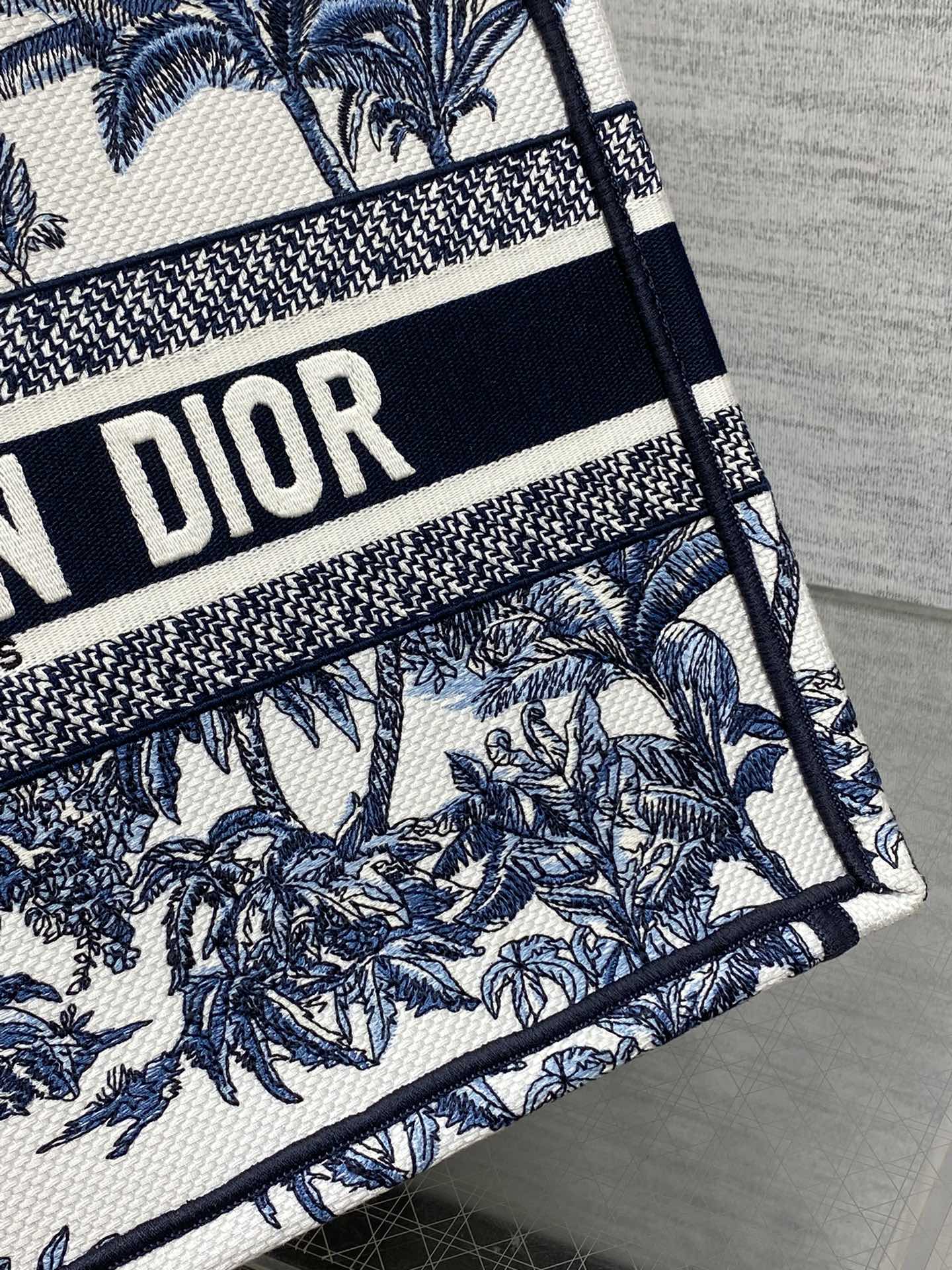BAG-DIOR-W-LY-939