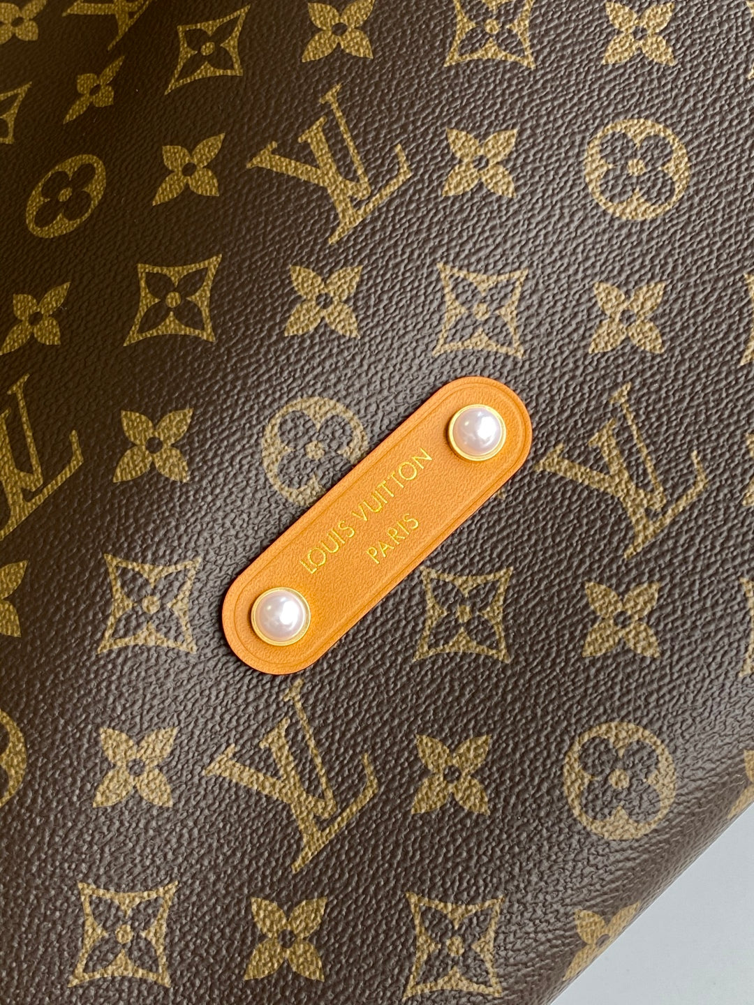 BAG-LV-W-NEW-493