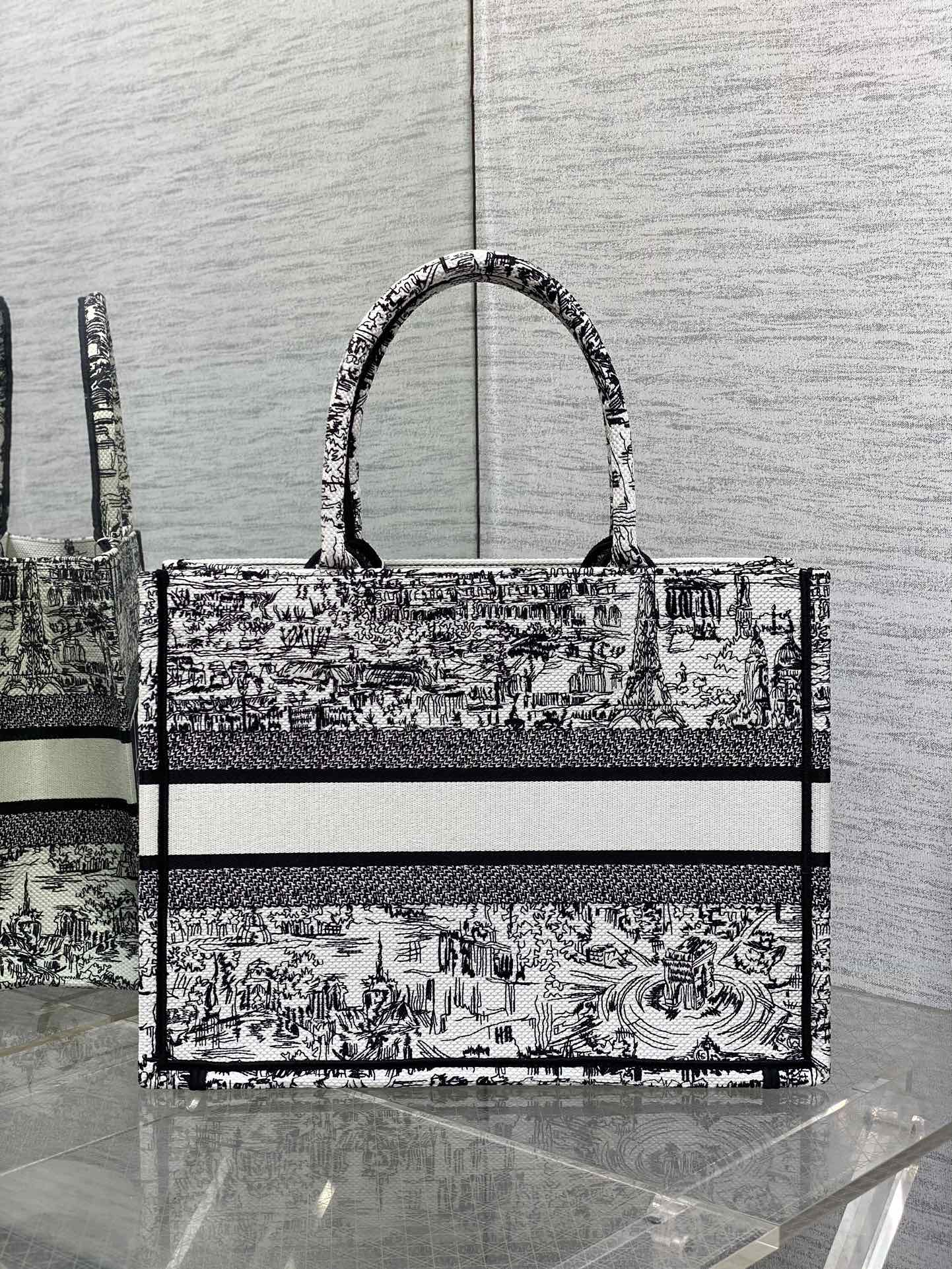 BAG-DIOR-W-LY-830