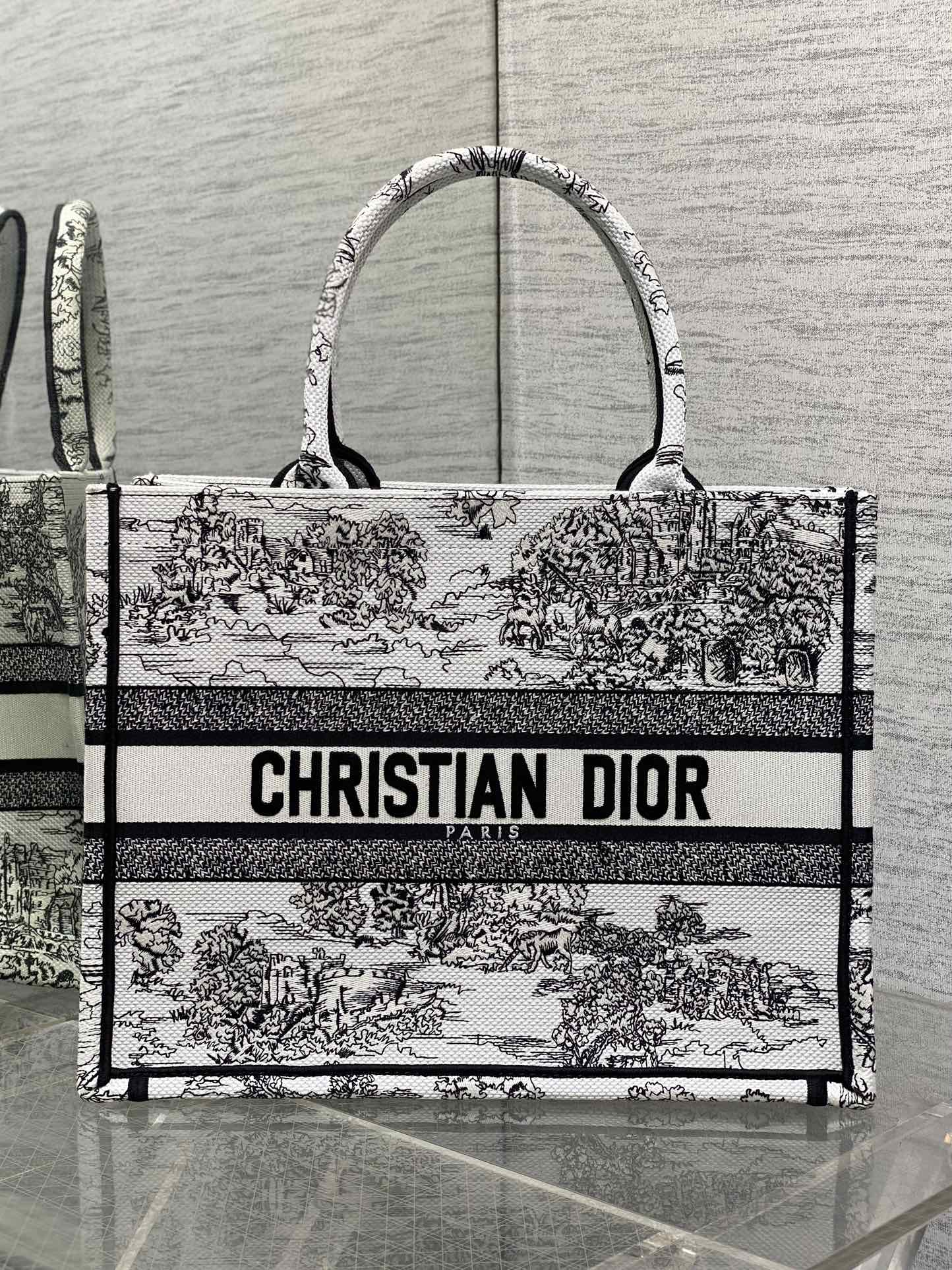 BAG-DIOR-W-LY-863