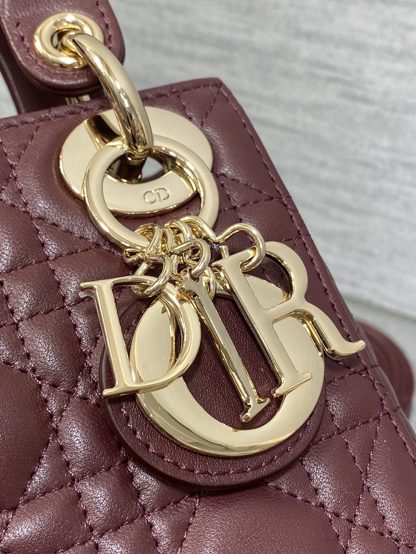 BAG-DIOR-W-LY-745