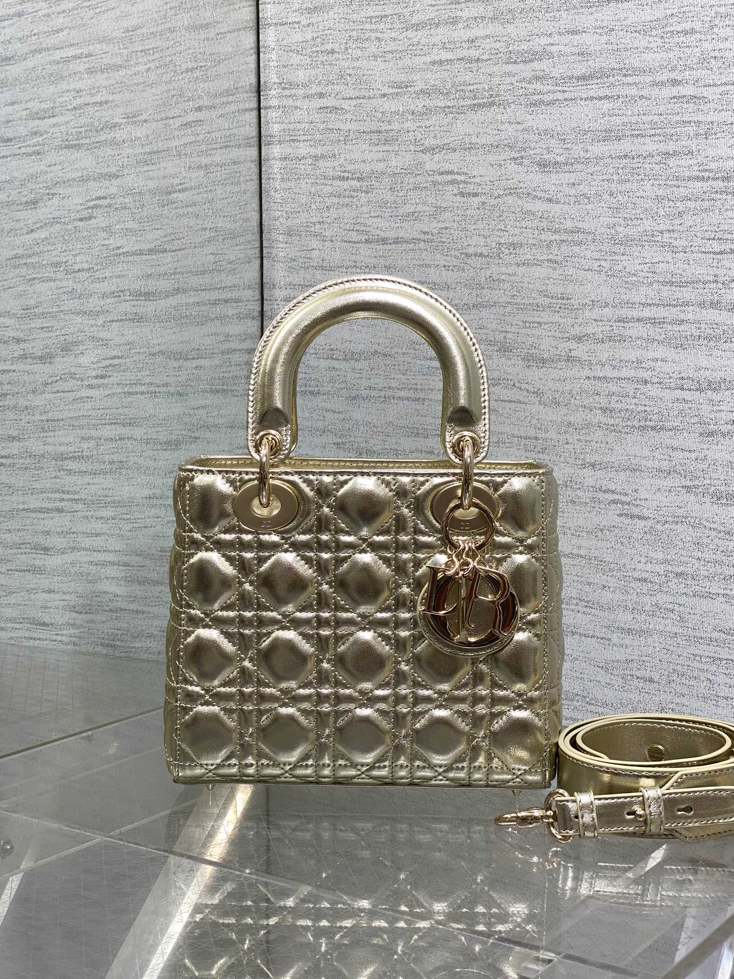 BAG-DIOR-W-LY-711