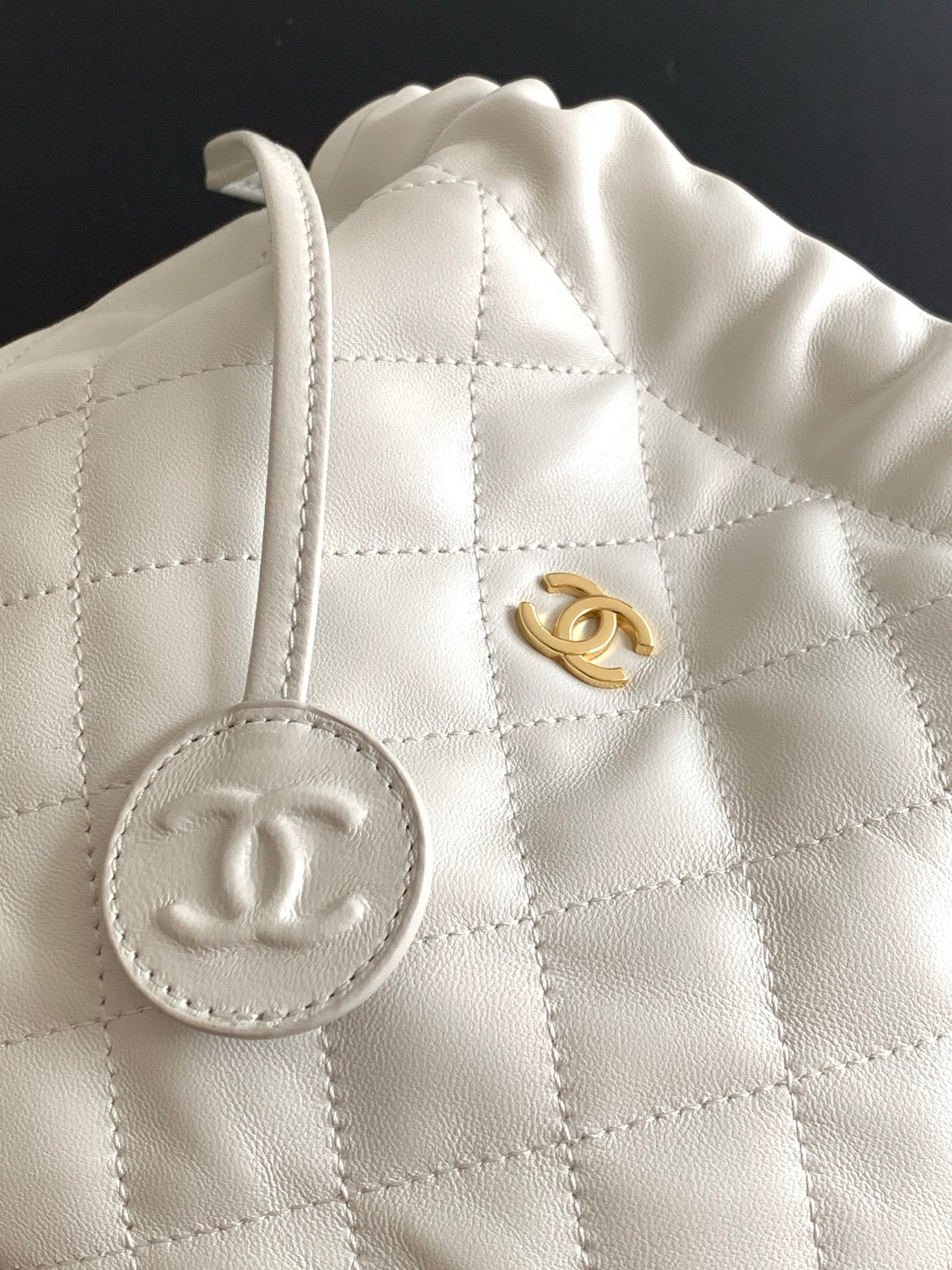 BAG-CHANEL-076