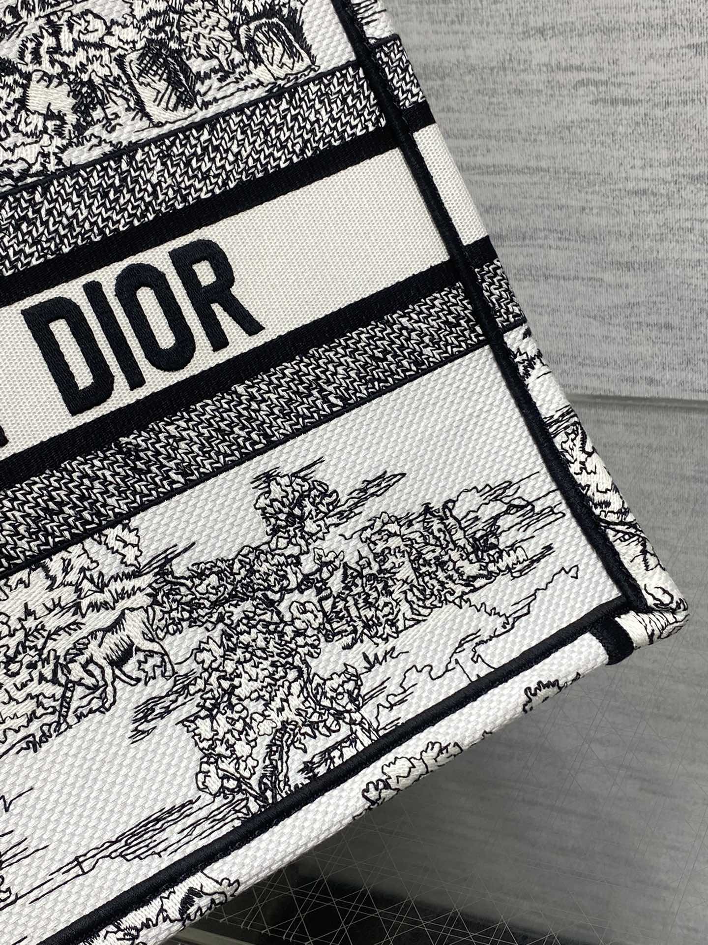 BAG-DIOR-W-LY-863