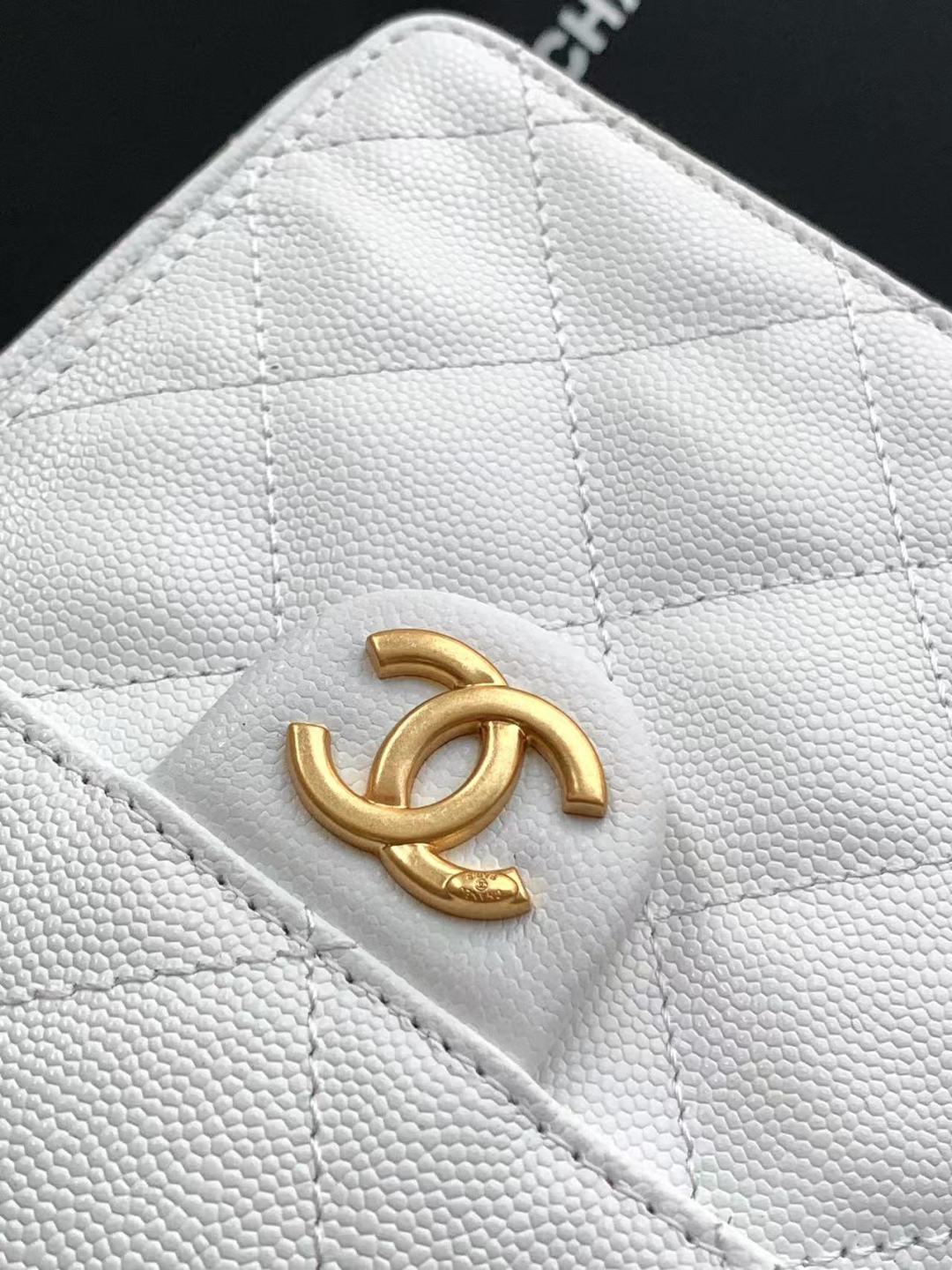 BAG-CHANEL-679