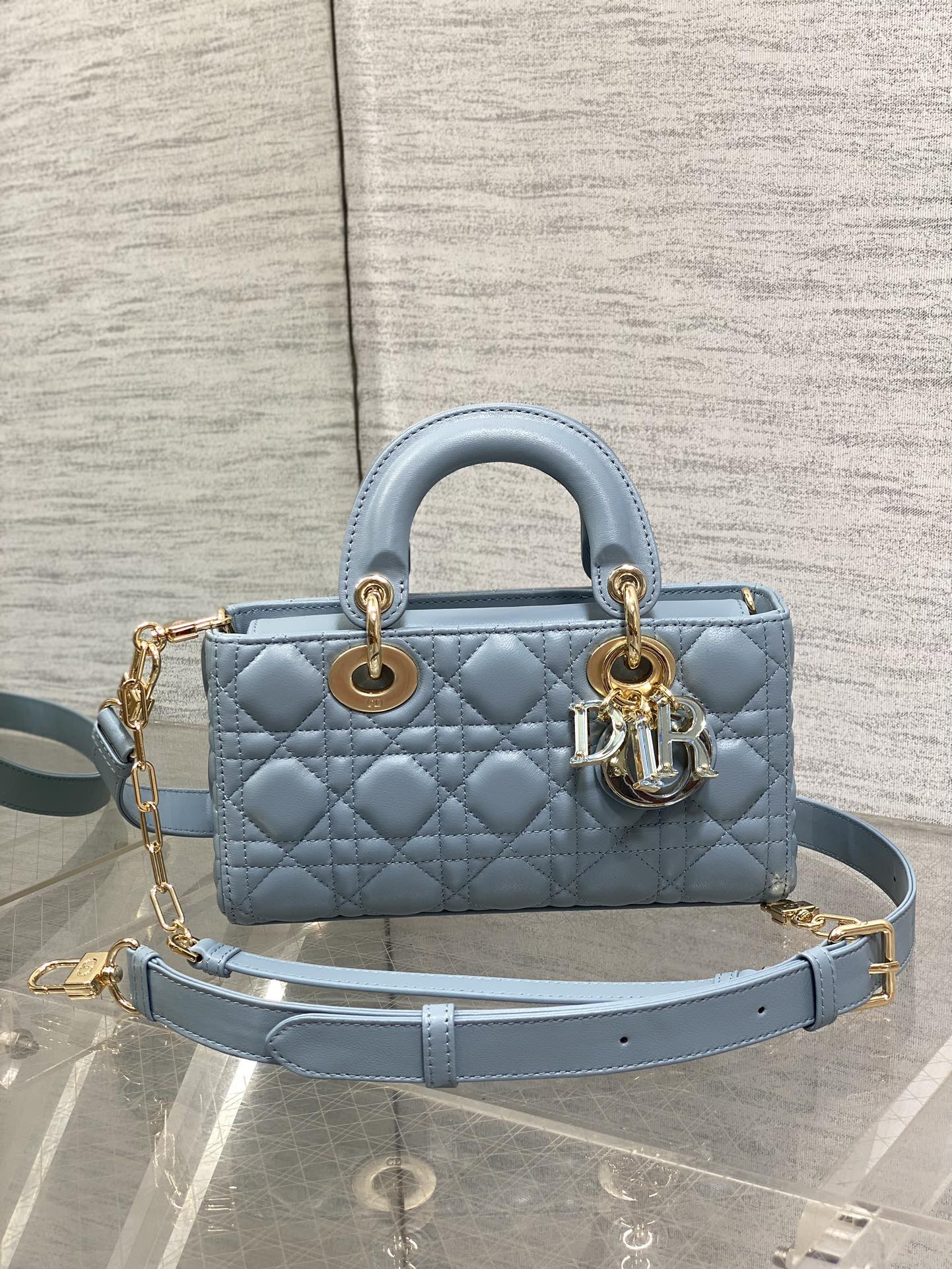 BAG-DIOR-W-LY-017