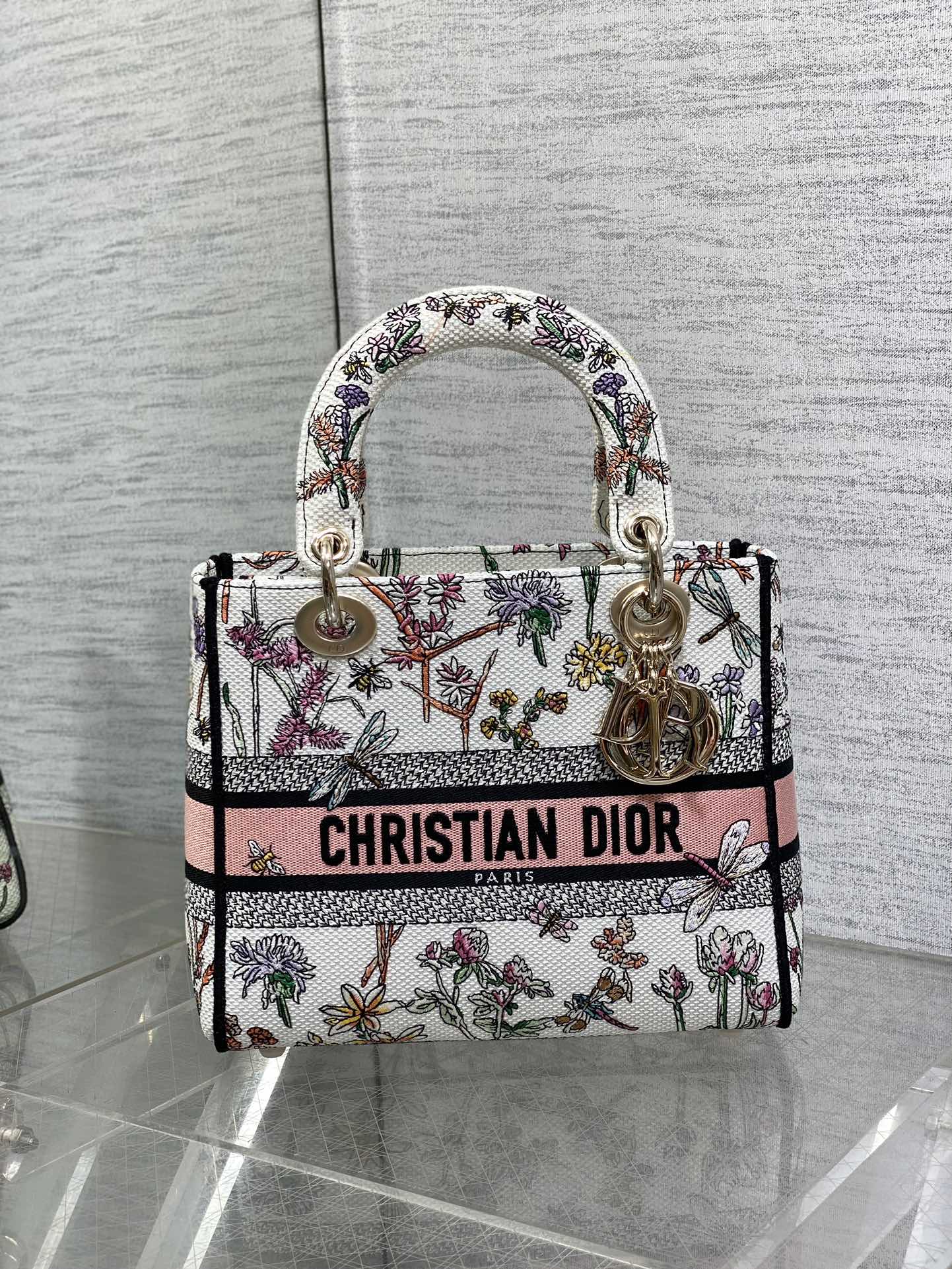 BAG-DIOR-W-LY-492
