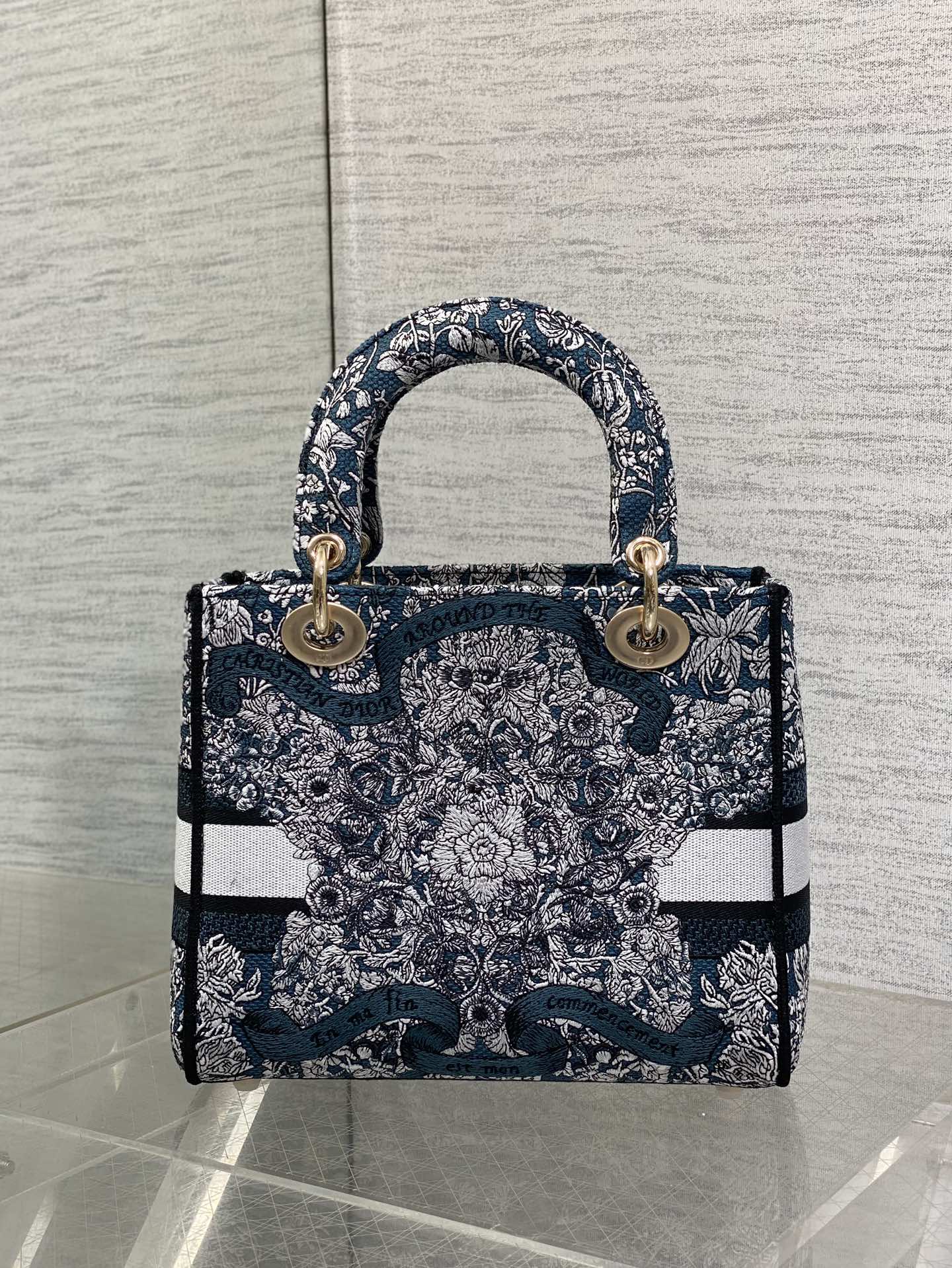 BAG-DIOR-W-LY-496