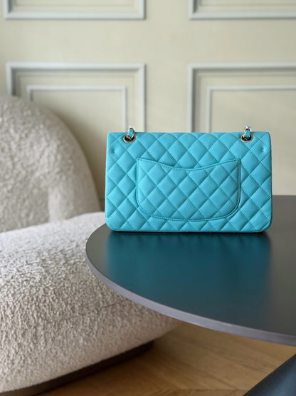 BAG-CHANEL-097