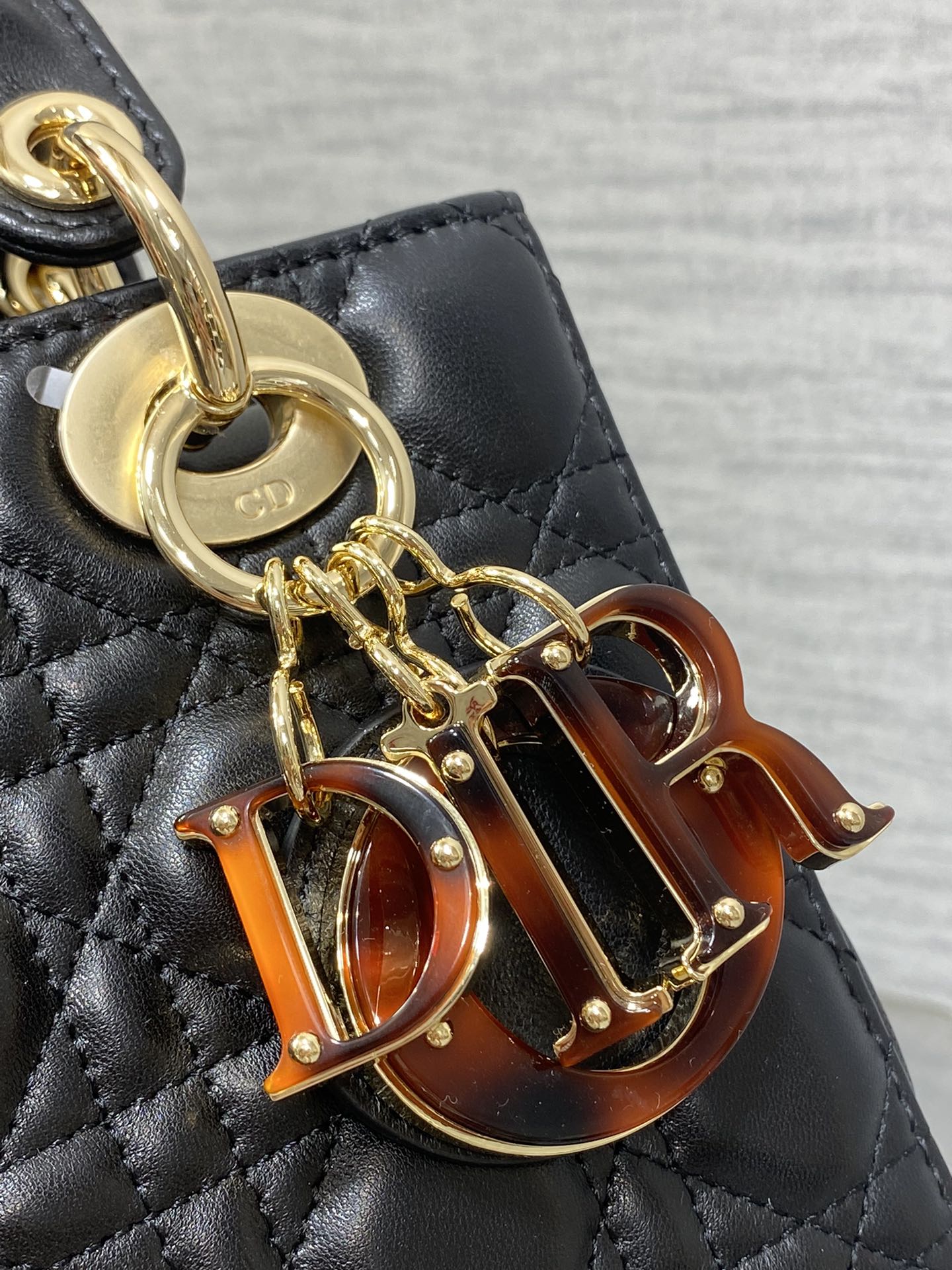 BAG-DIOR-W-LY-008