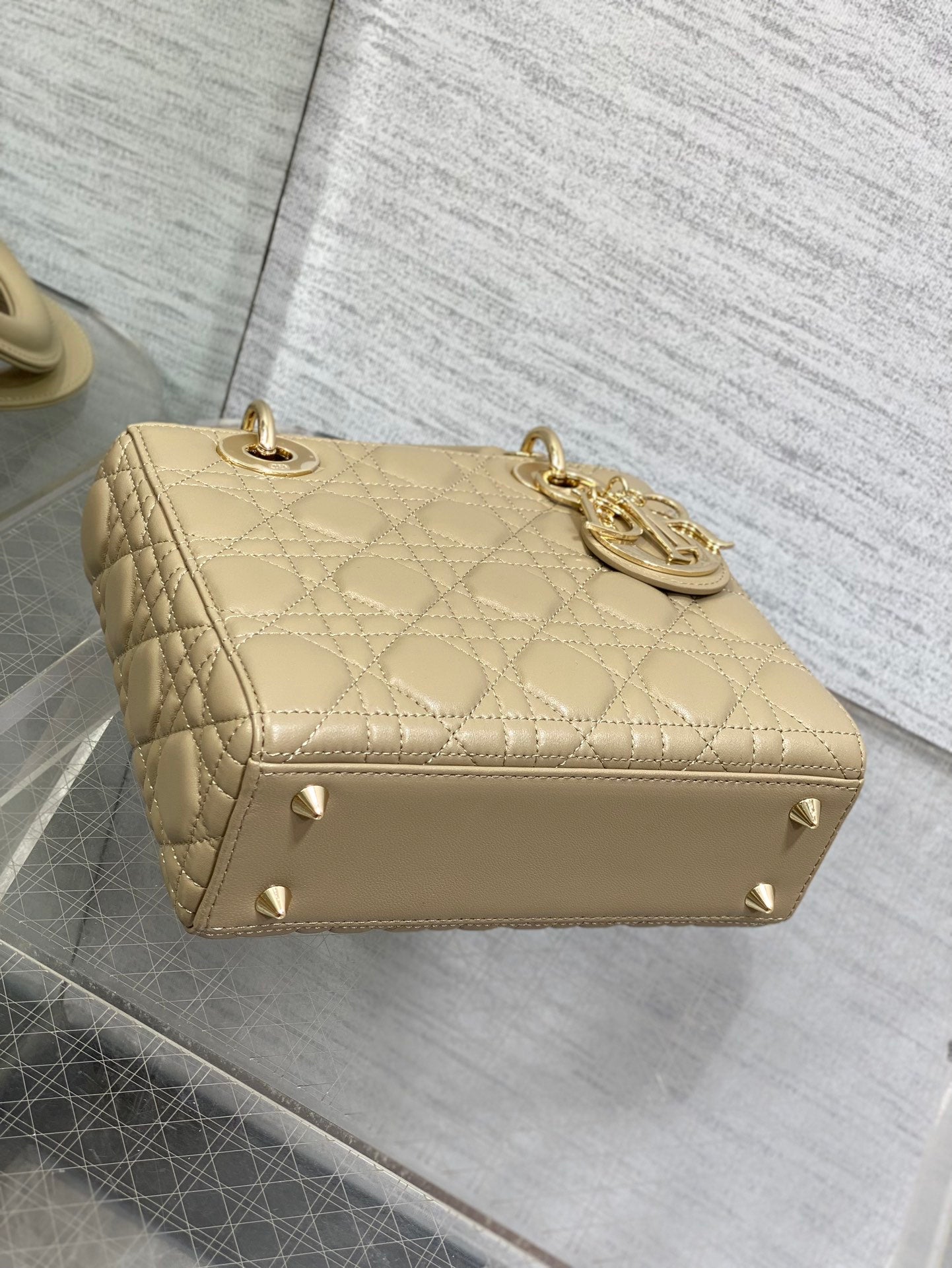 BAG-DIOR-W-LY-161
