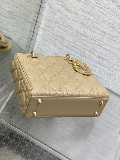 BAG-DIOR-W-LY-161