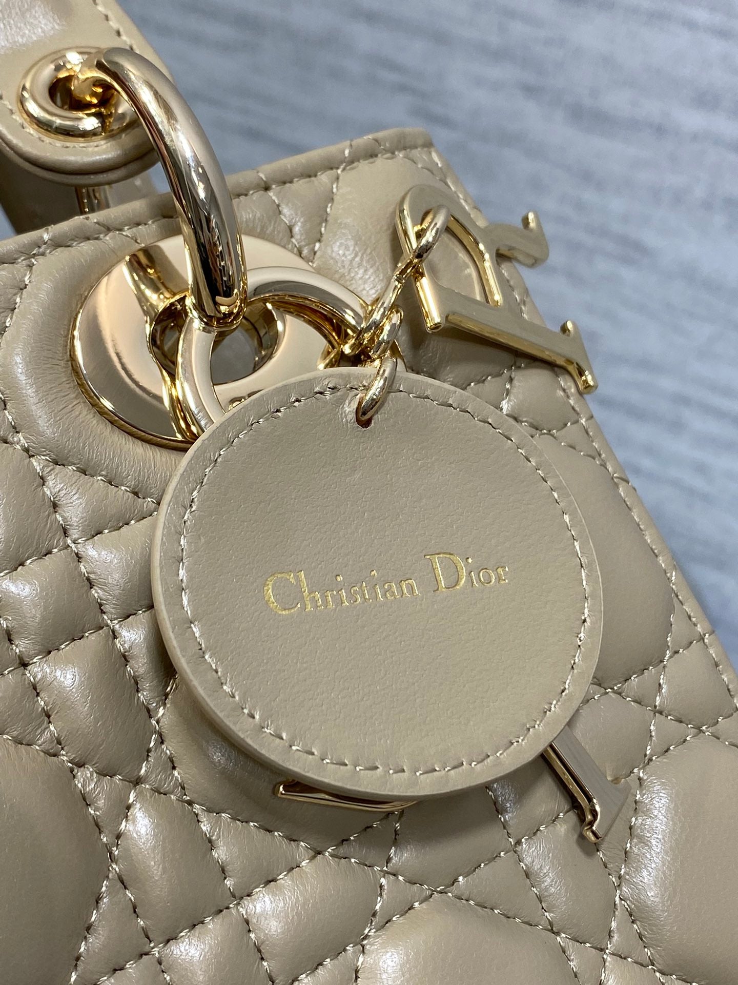 BAG-DIOR-W-LY-766