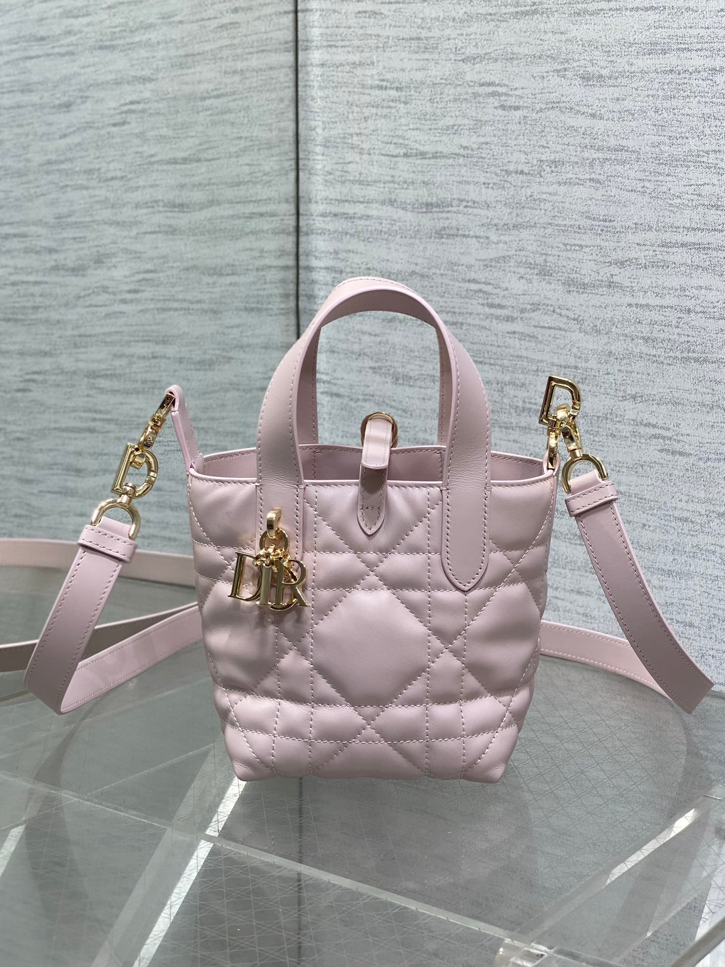 BAG-DIOR-W-LY-056