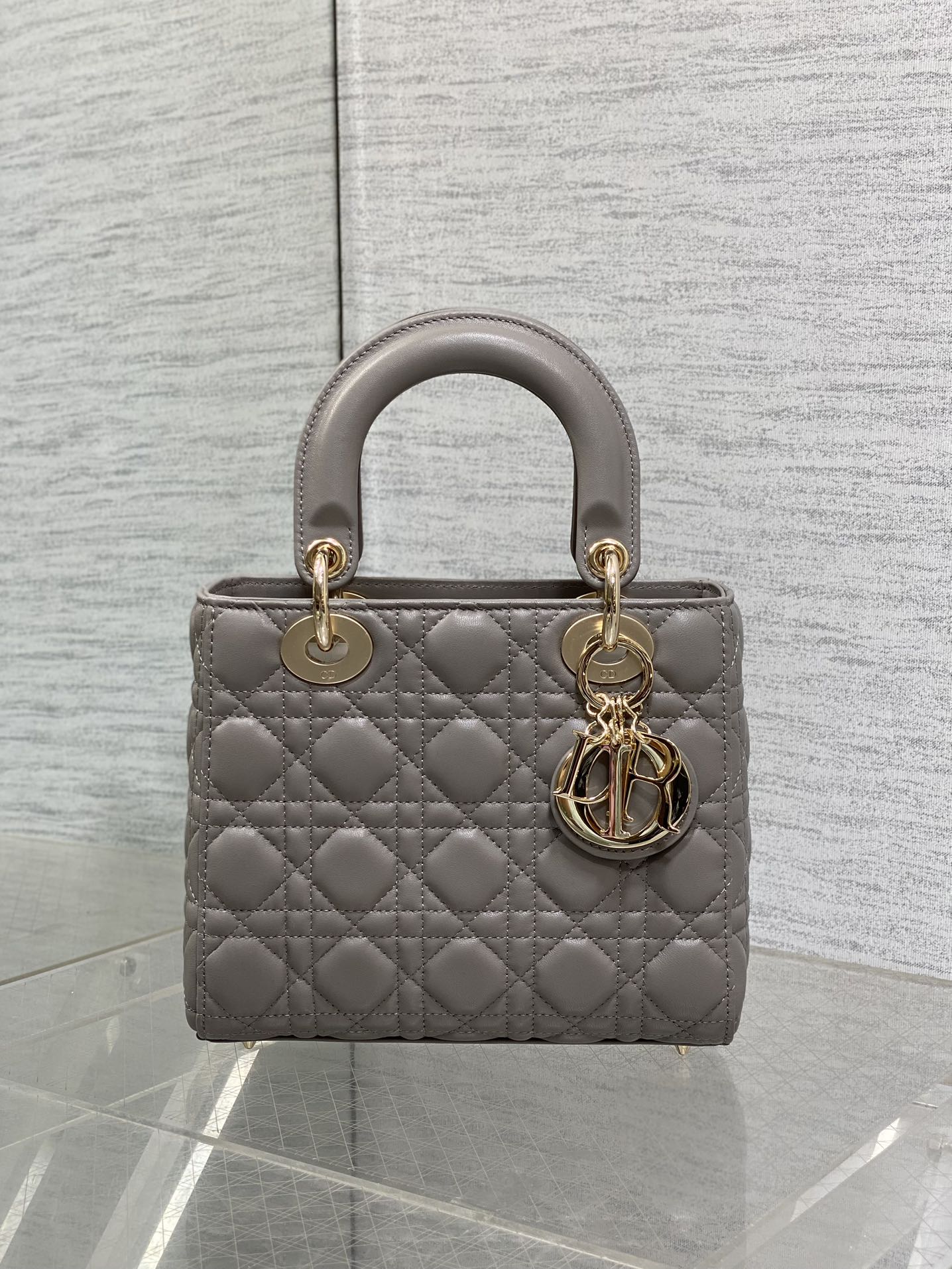 BAG-DIOR-W-LY-764