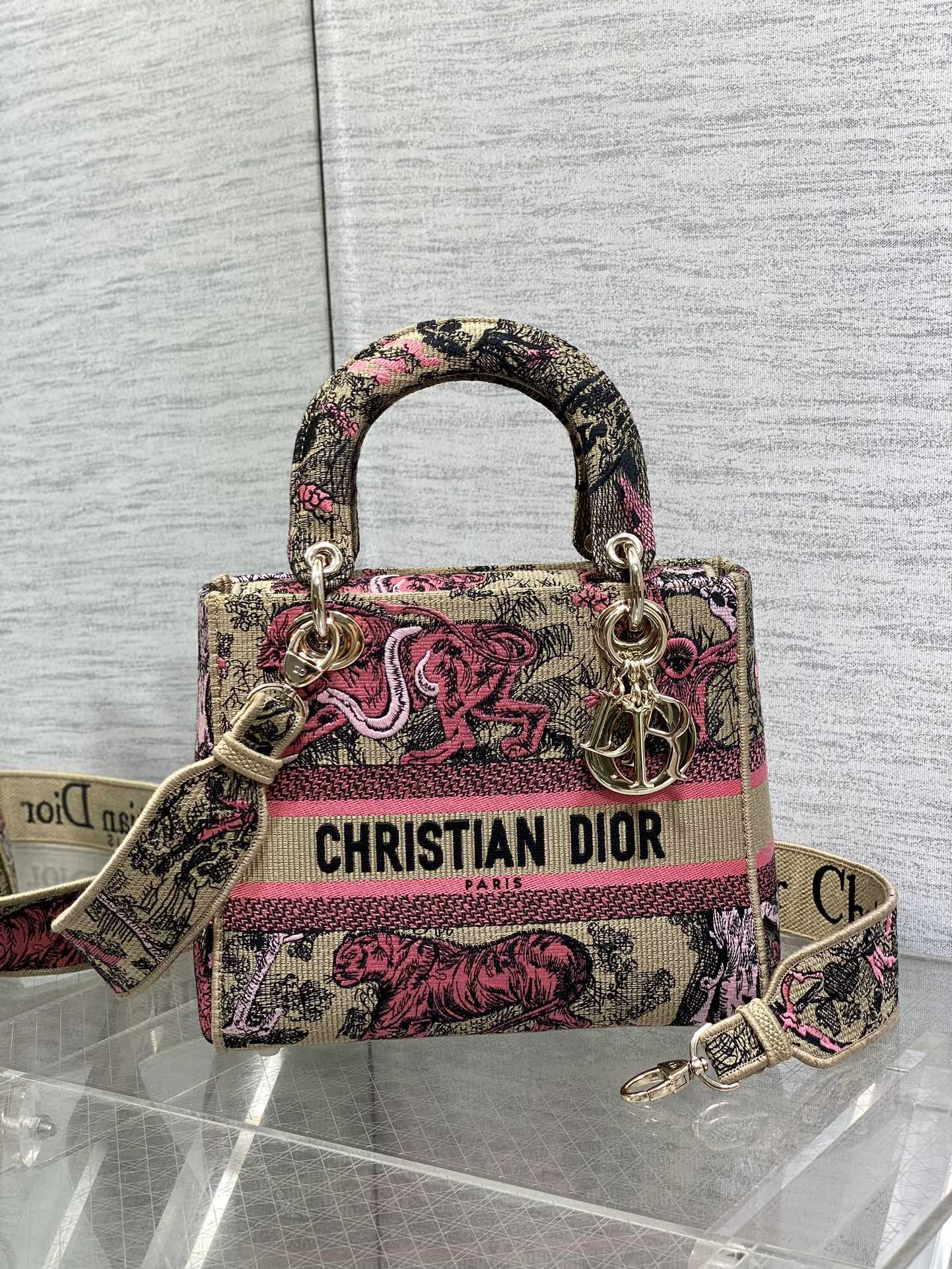BAG-DIOR-W-LY-071