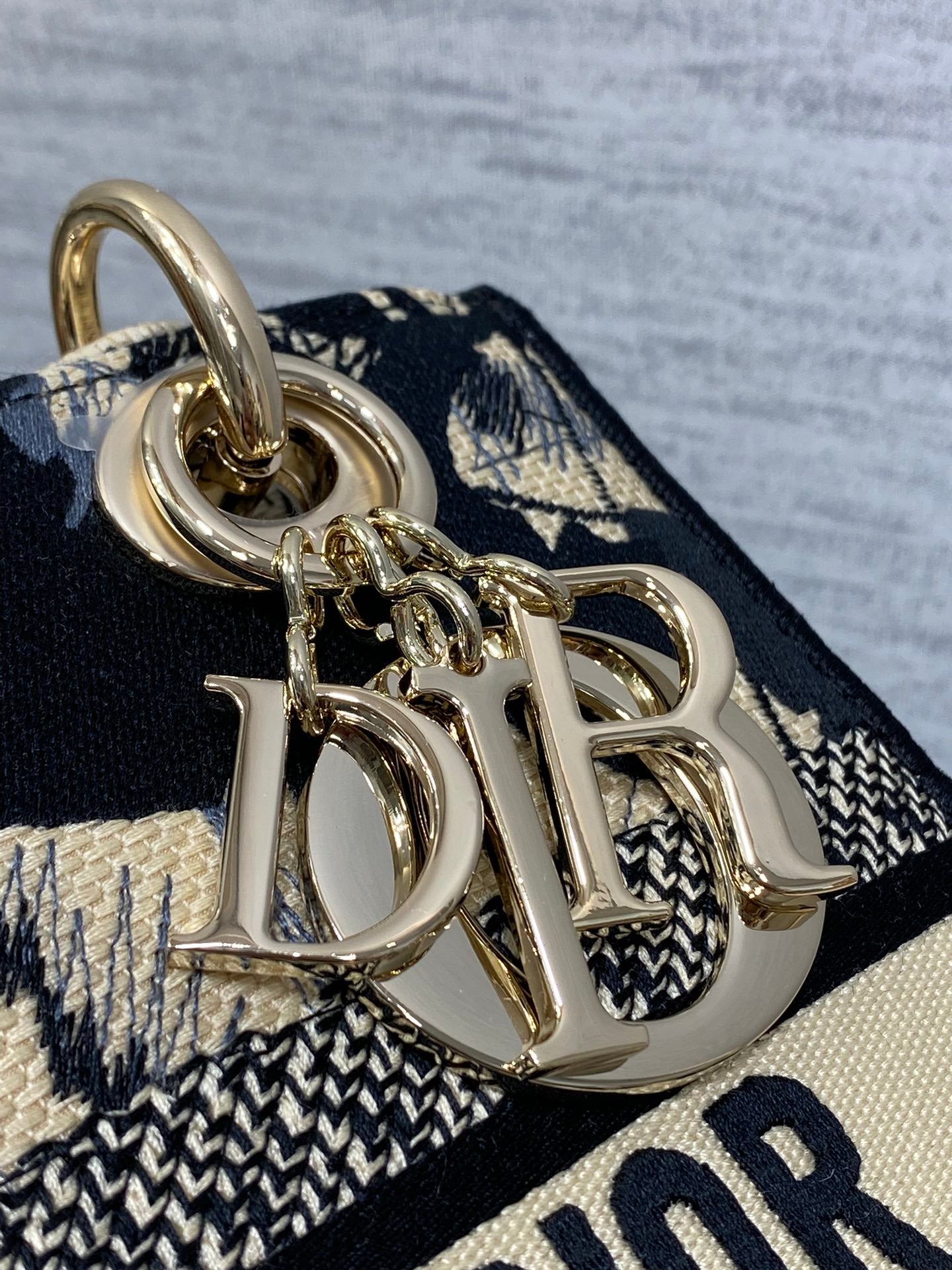 BAG-DIOR-W-LY-493