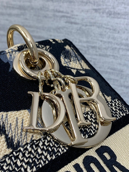 BAG-DIOR-W-LY-493