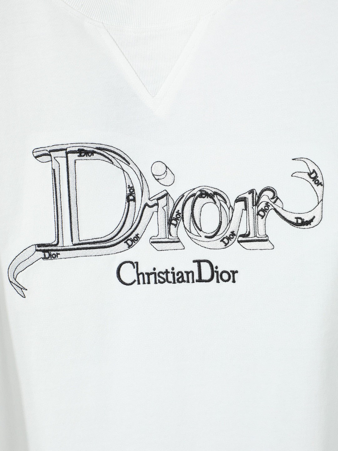 TS-DIOR-NEW-153