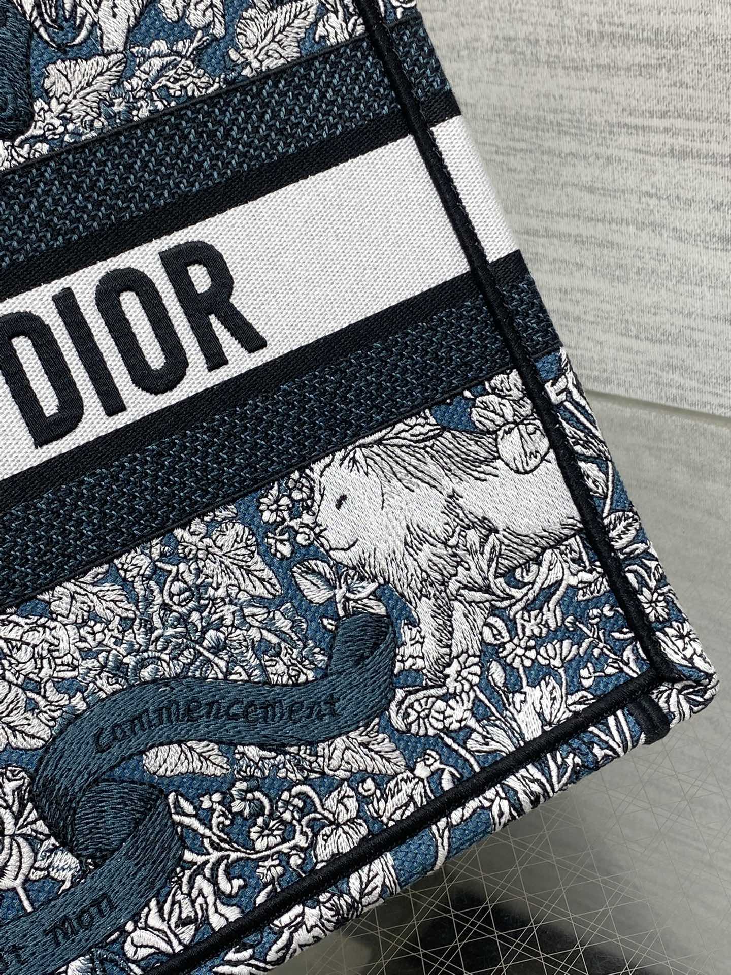 BAG-DIOR-W-LY-846