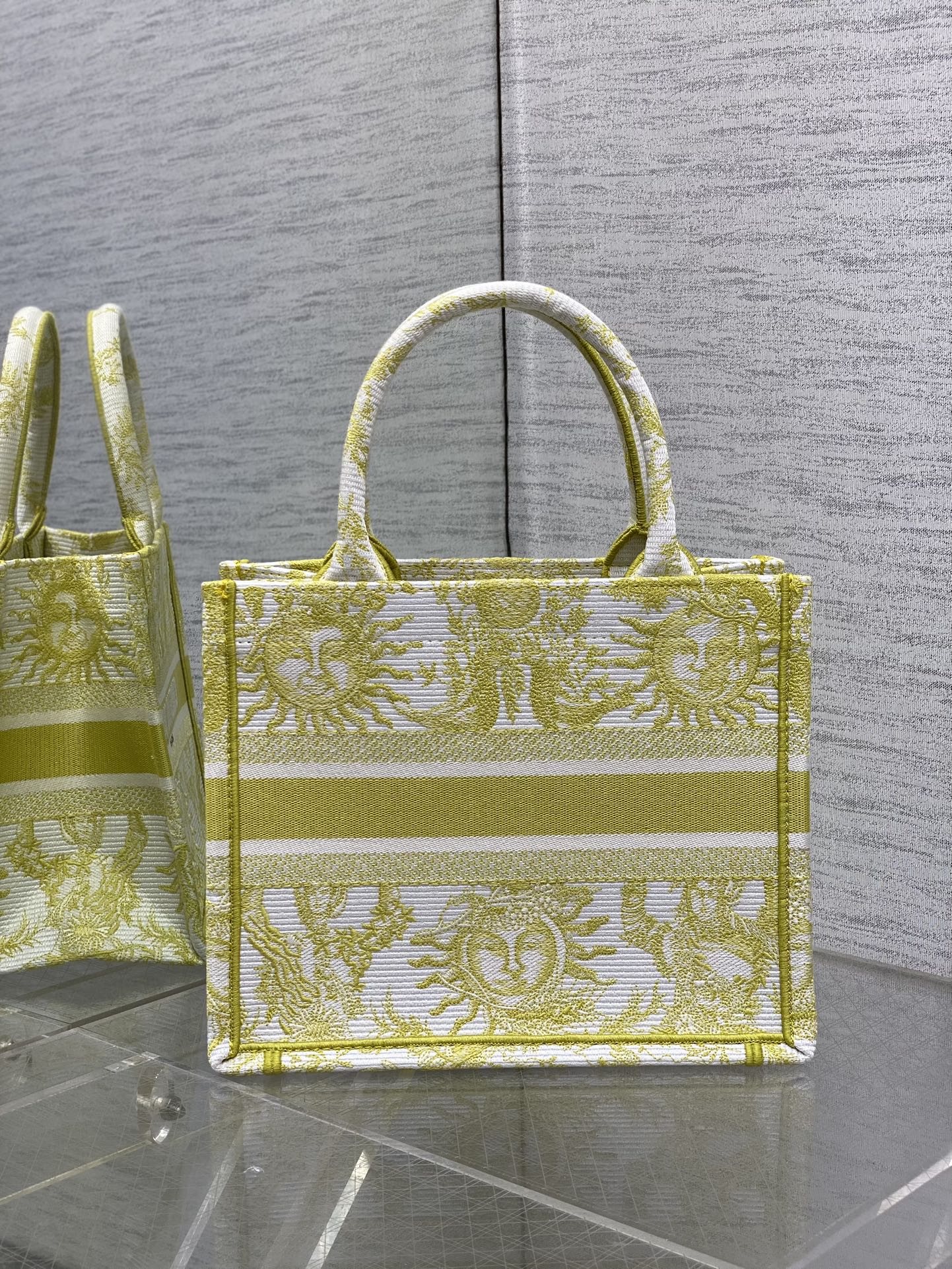 BAG-DIOR-W-LY-834