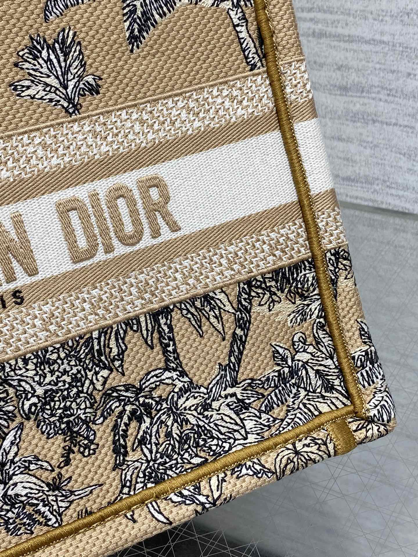 BAG-DIOR-W-LY-896