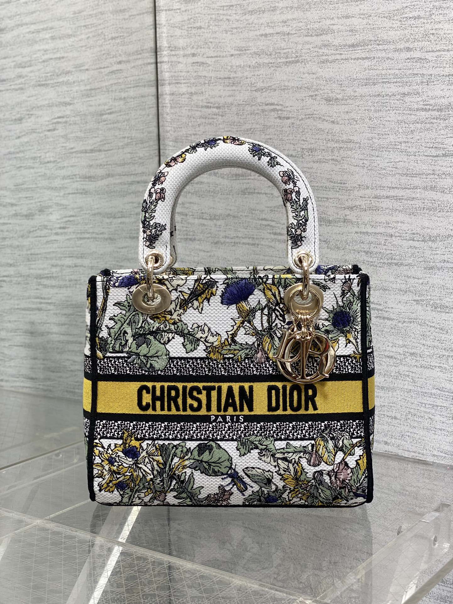 BAG-DIOR-W-LY-077