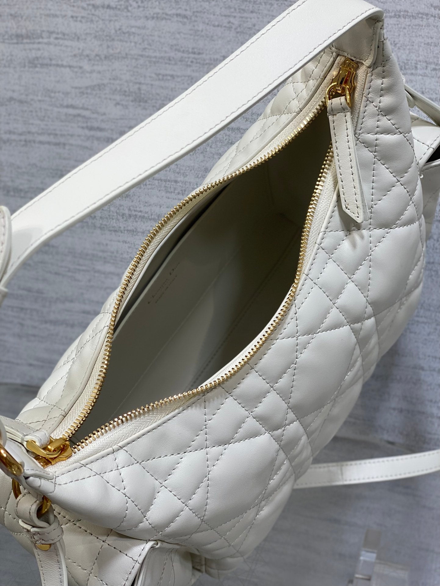 BAG-DIOR-W-LY-048