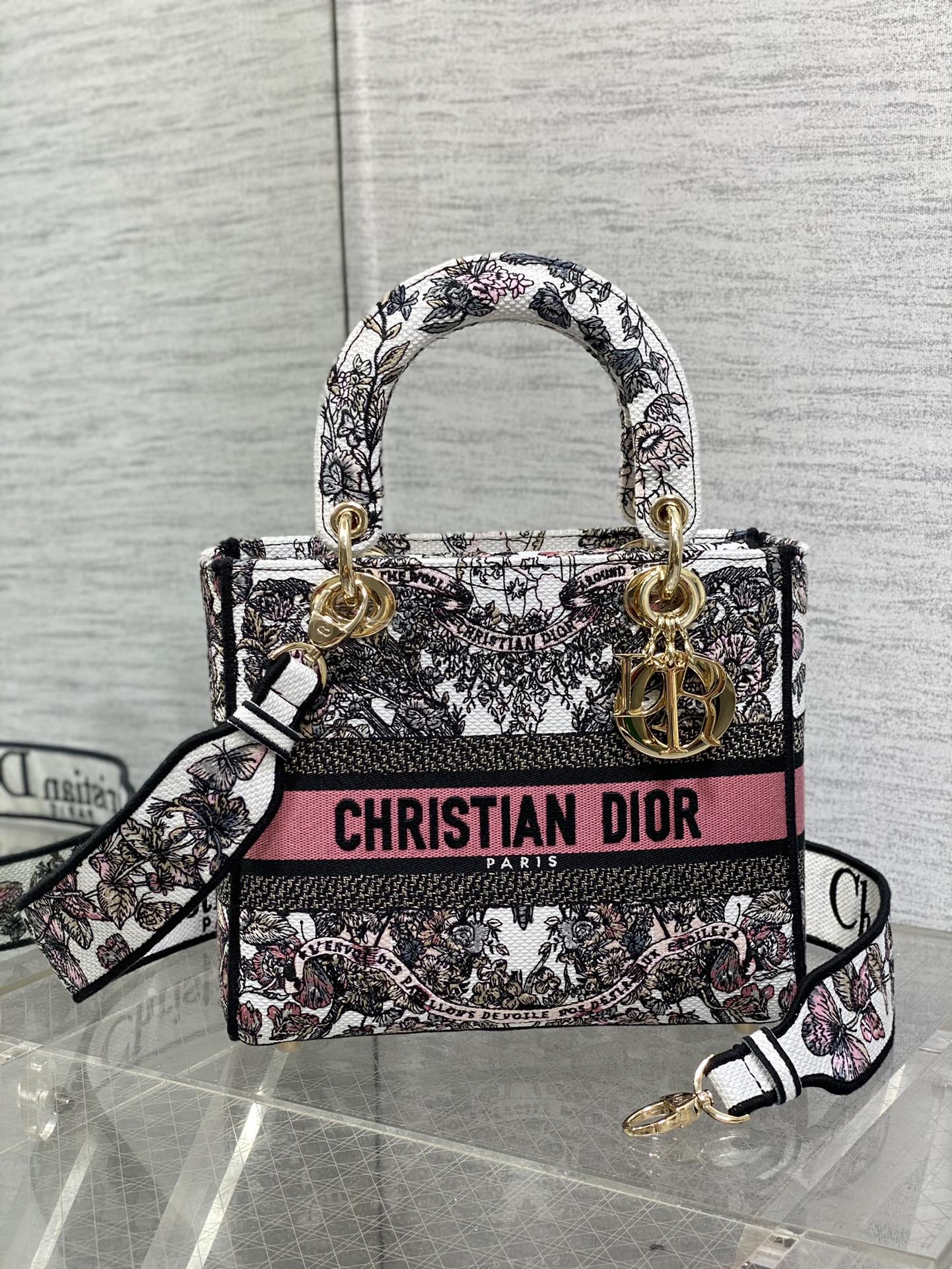 BAG-DIOR-W-LY-082