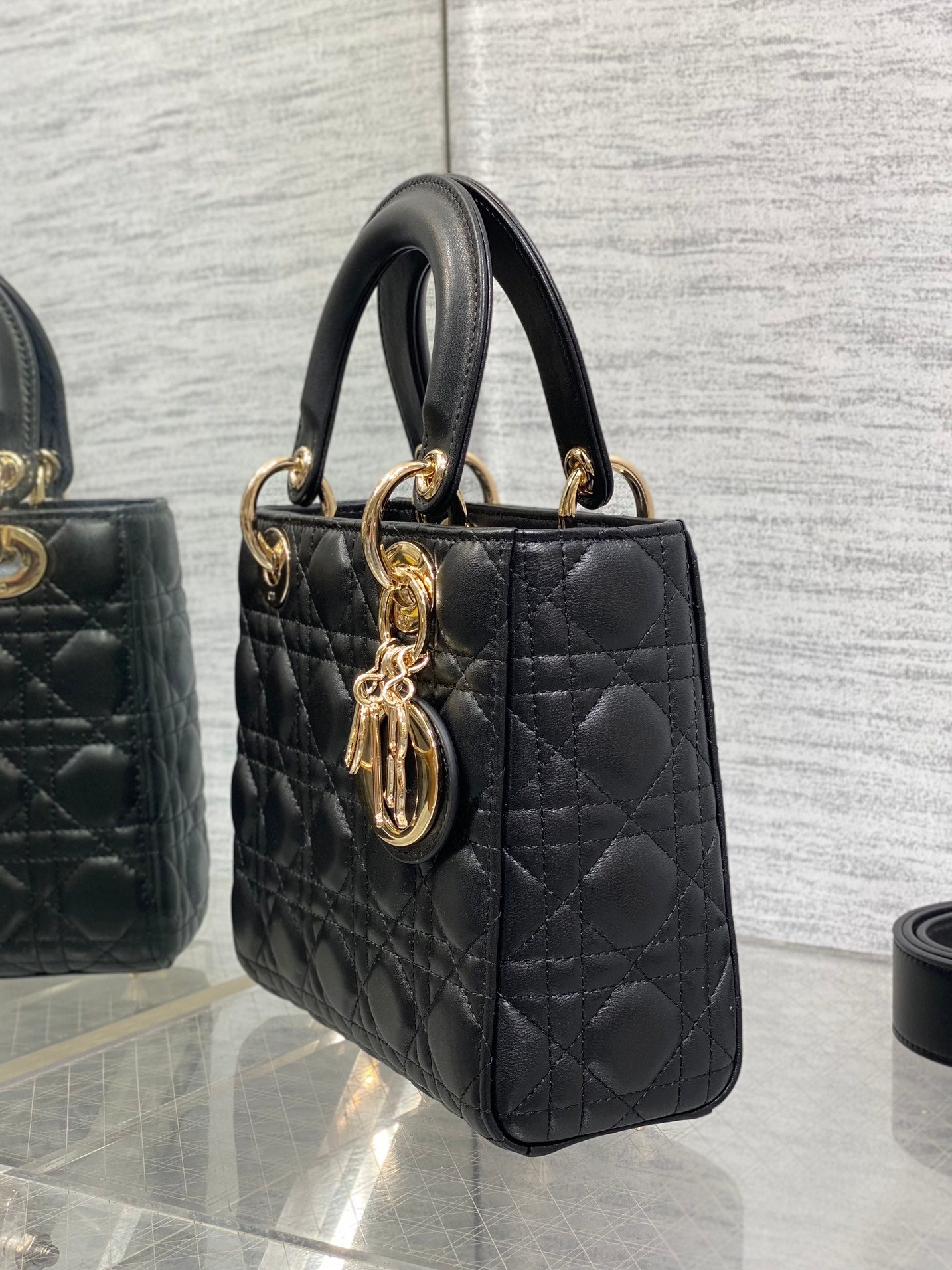 BAG-DIOR-W-LY-696