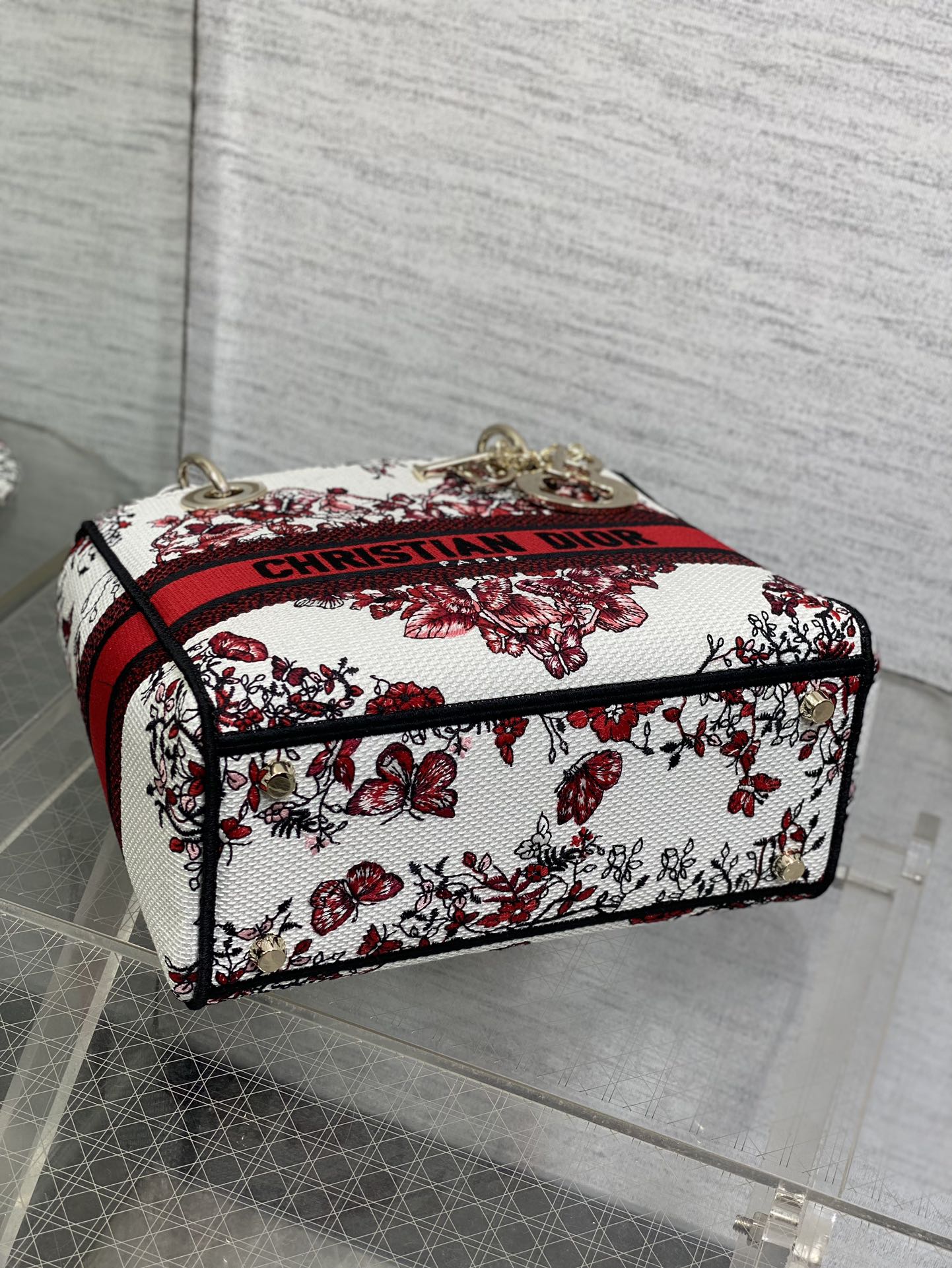 BAG-DIOR-W-LY-442