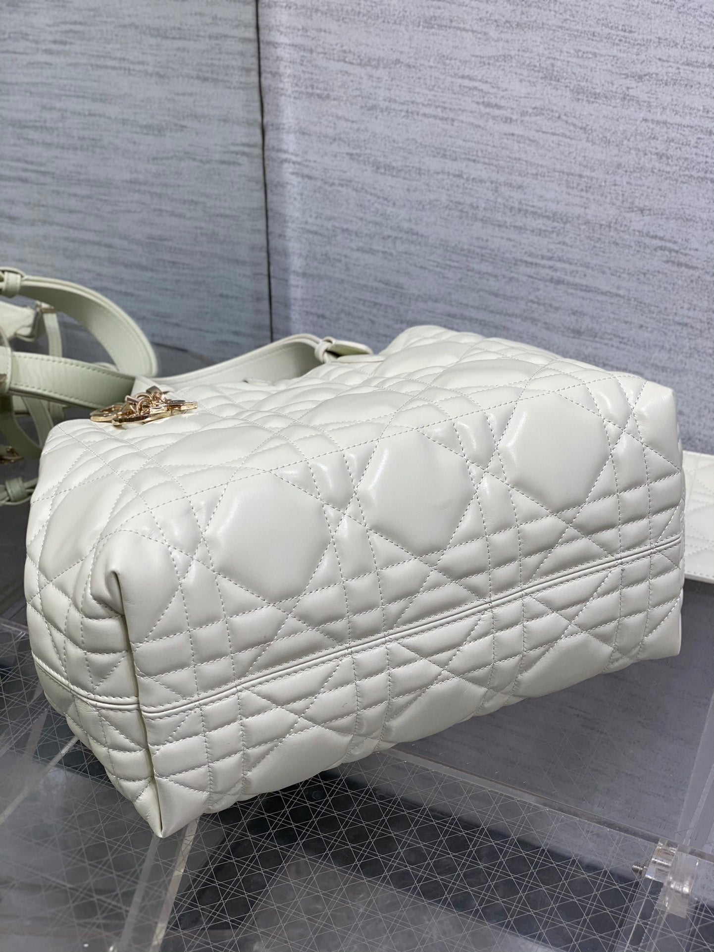BAG-DIOR-W-LY-054