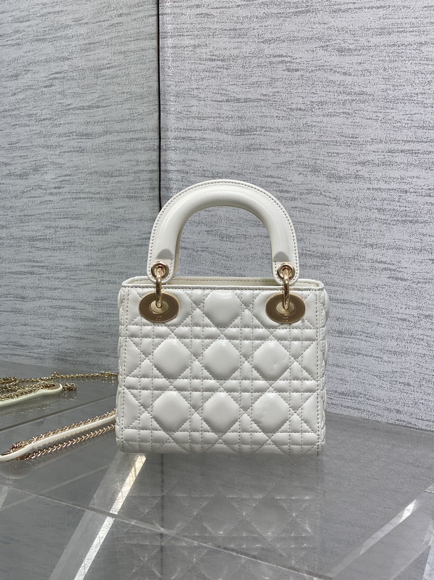 BAG-DIOR-W-LY-742