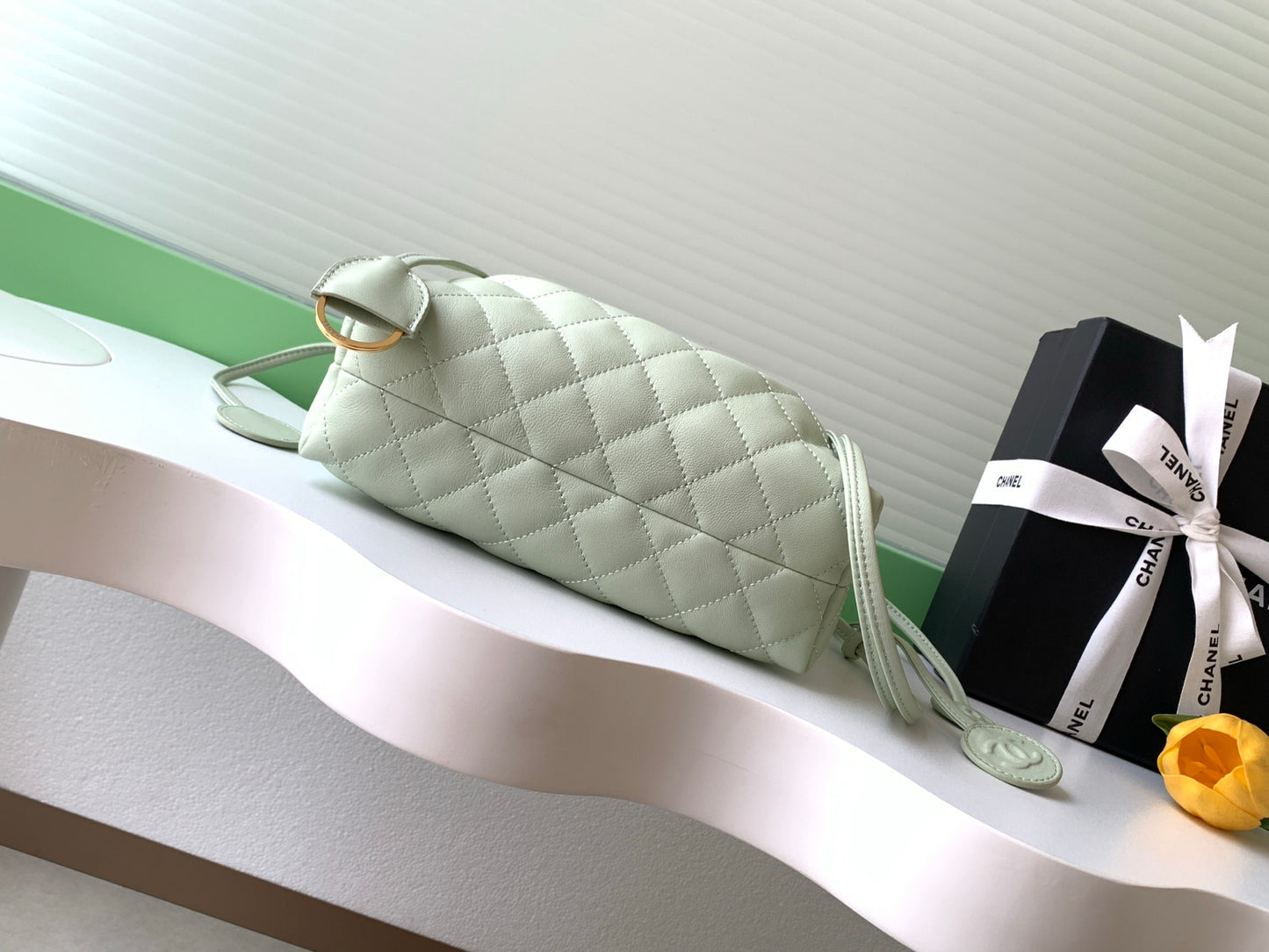 BAG-CHANEL-075
