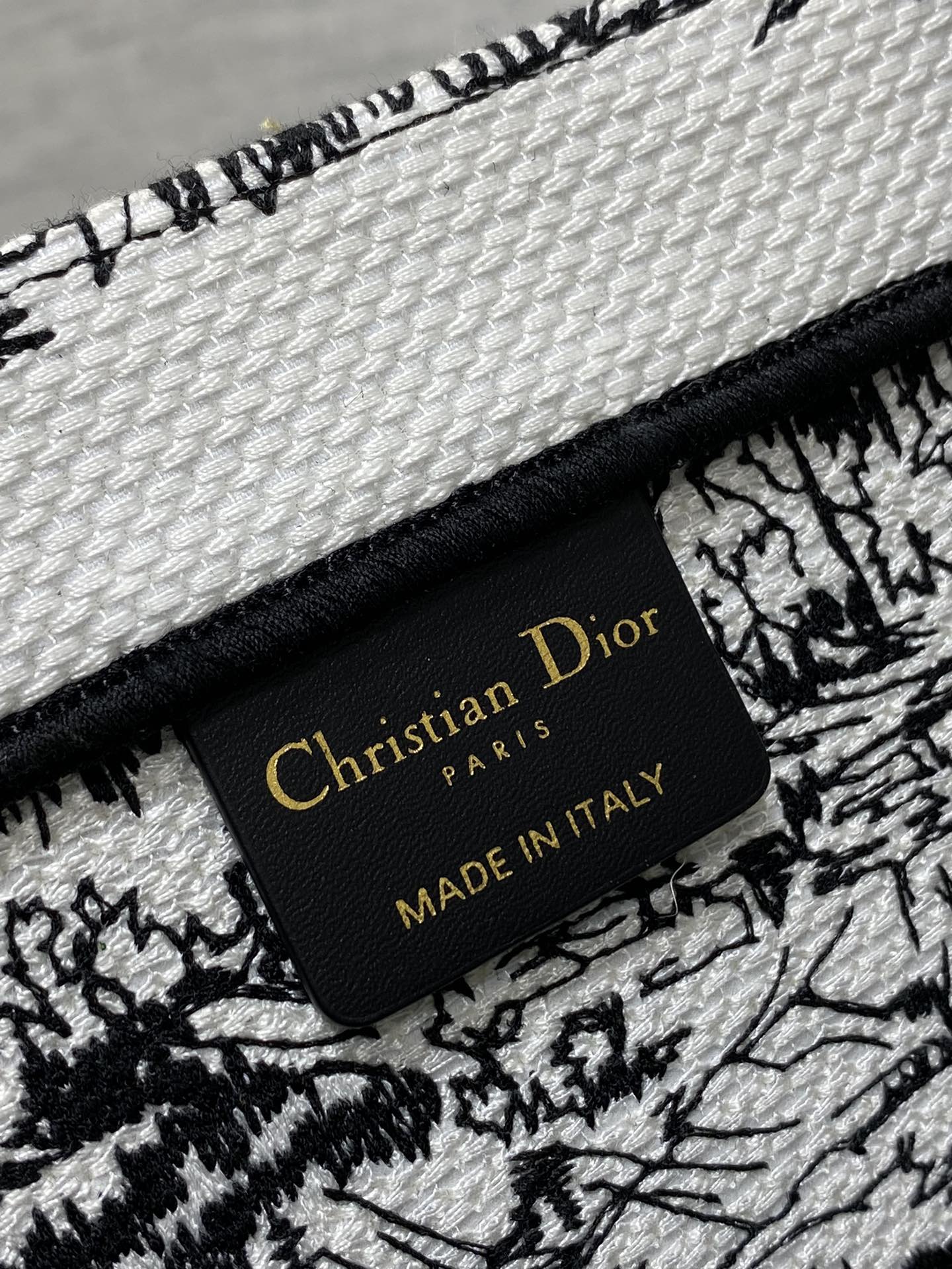 BAG-DIOR-W-LY-199